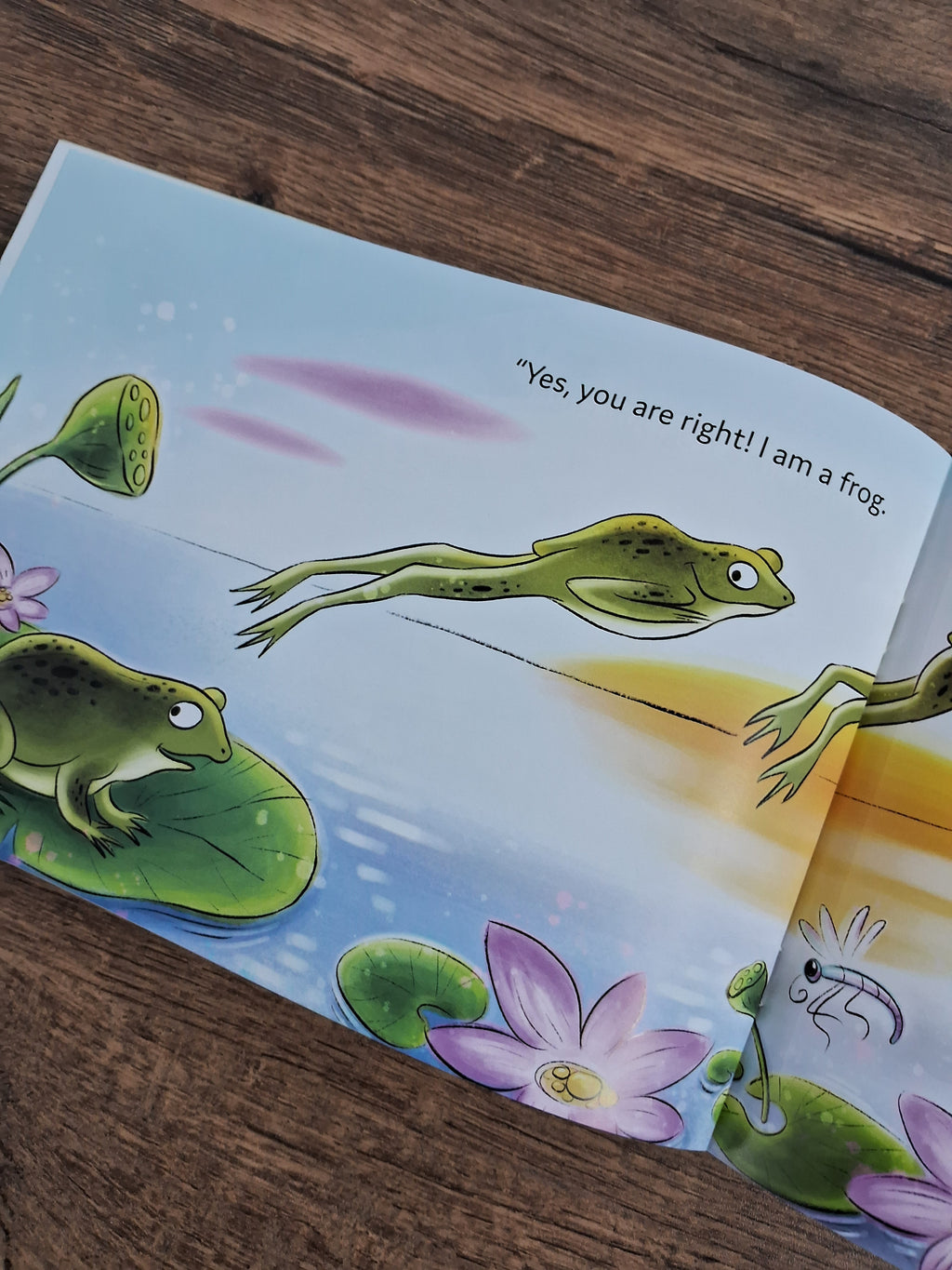 Baby Mangoose Goes looking for a Frog - English - Pratham - Level1