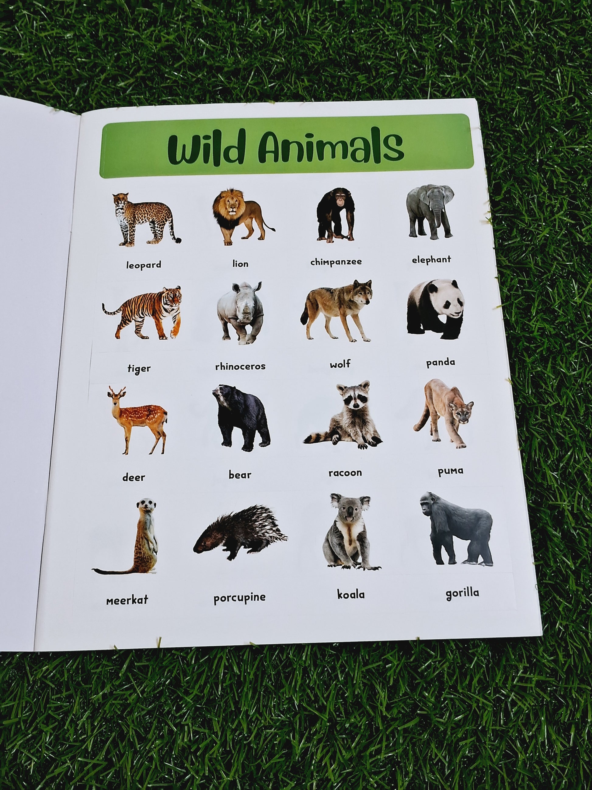 400+ Animals Stickers