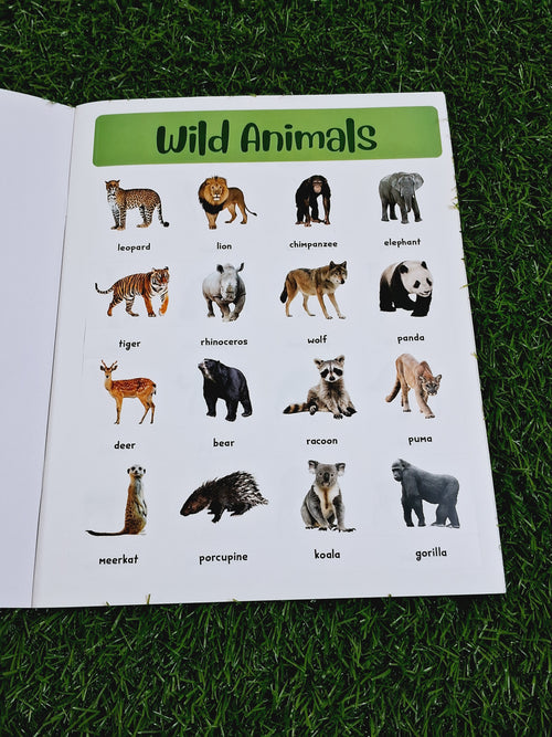 400+ Animals Stickers