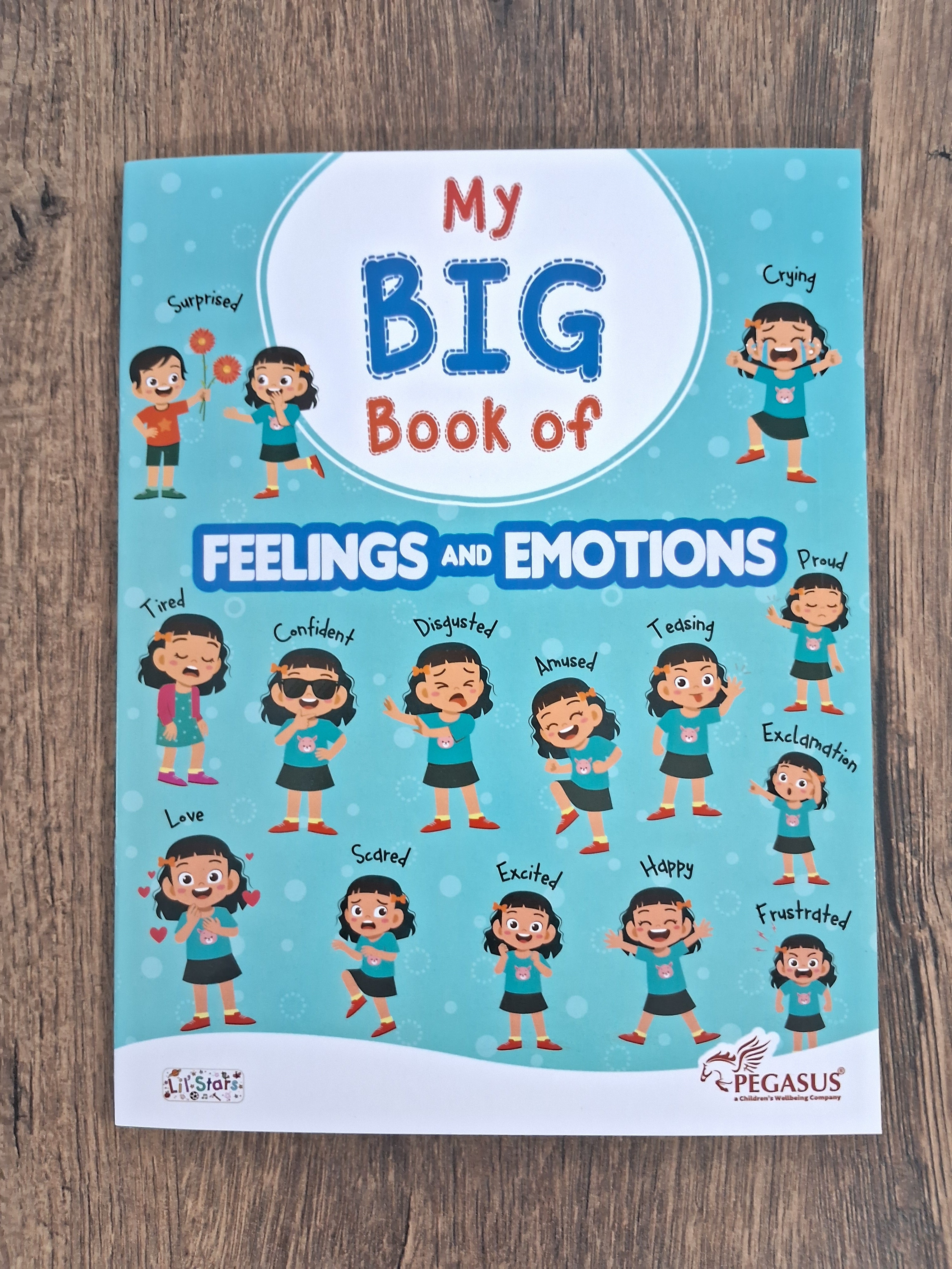 Feelings and Emotions: Preschool Book
