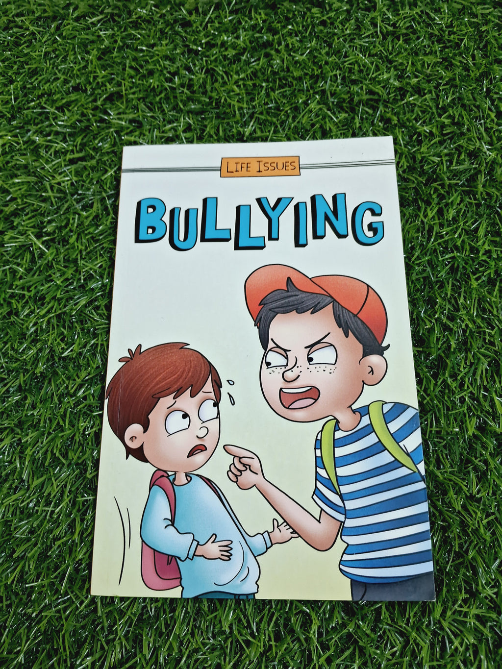 BULLYING - LIFE ISSUES