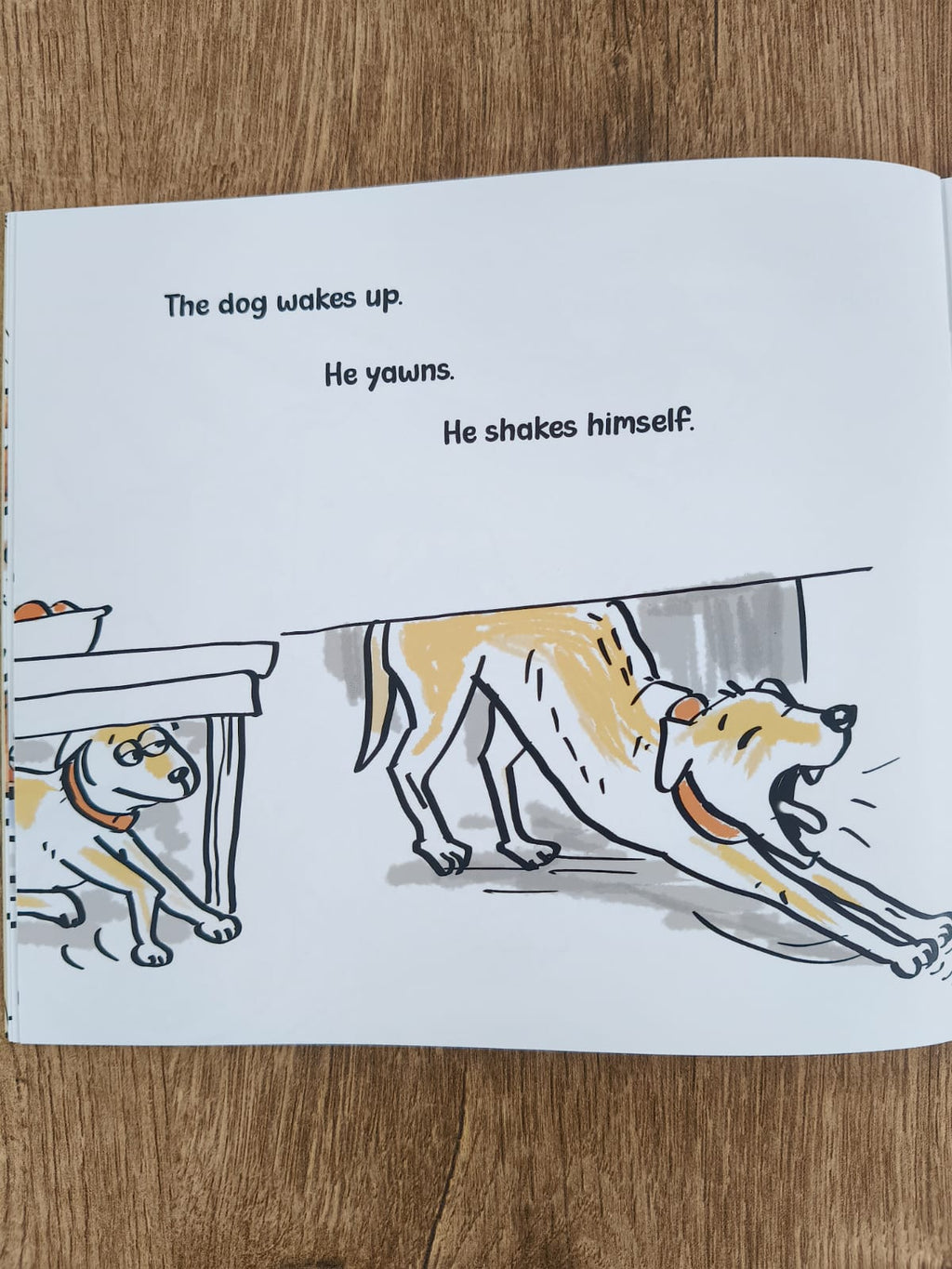 Crow vs Vada - English Picture Book