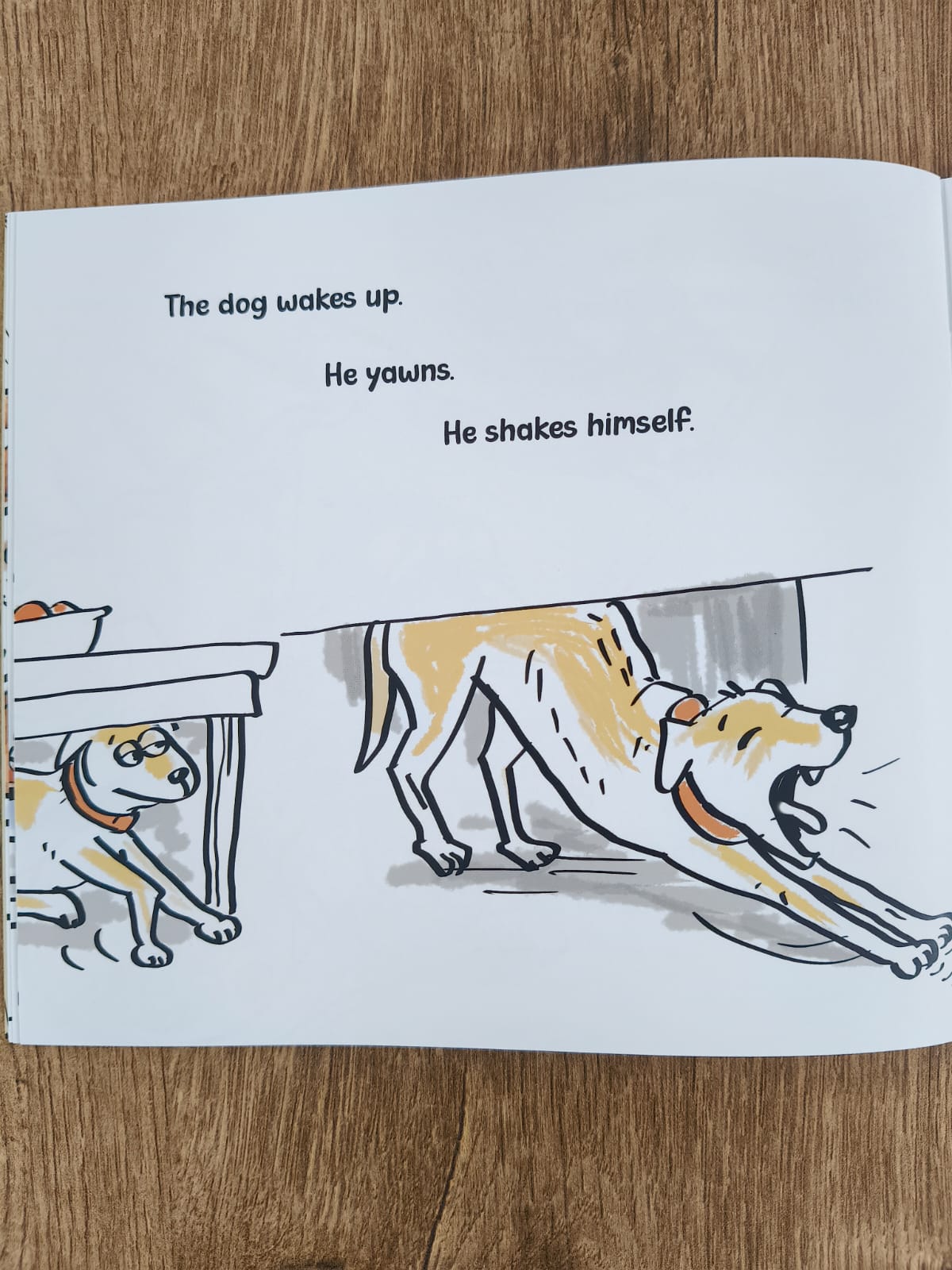 Crow vs Vada - English Picture Book