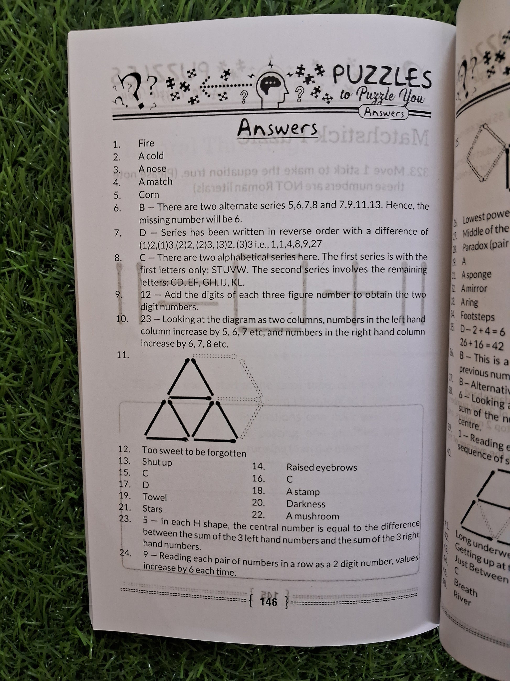 Puzzles to puzzle you - Challenging Books