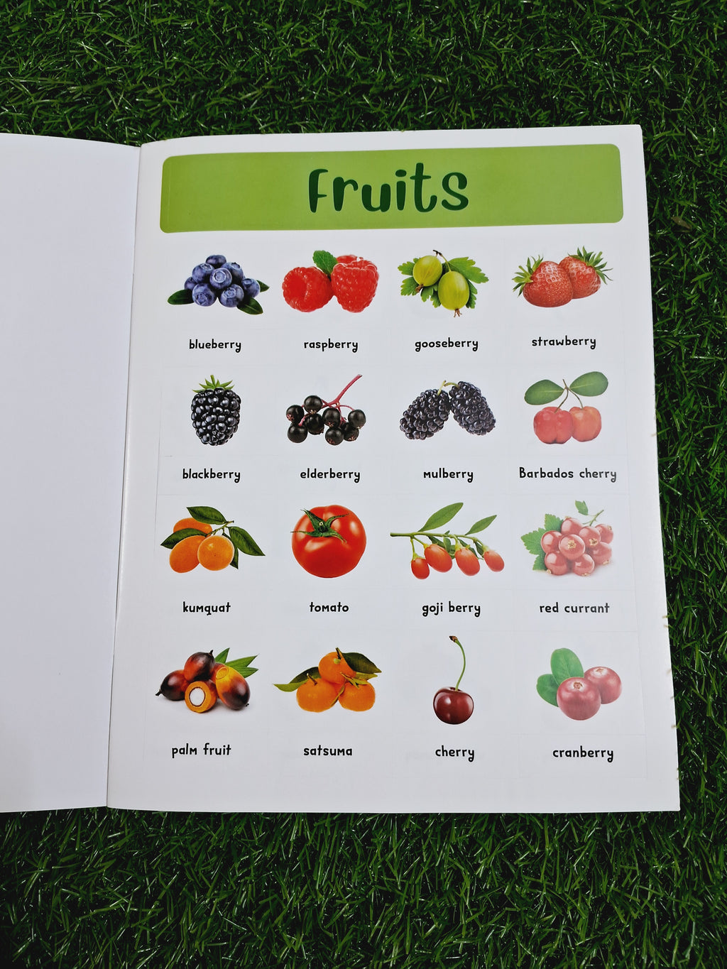 400+ Fruits & Vegetables Stickers