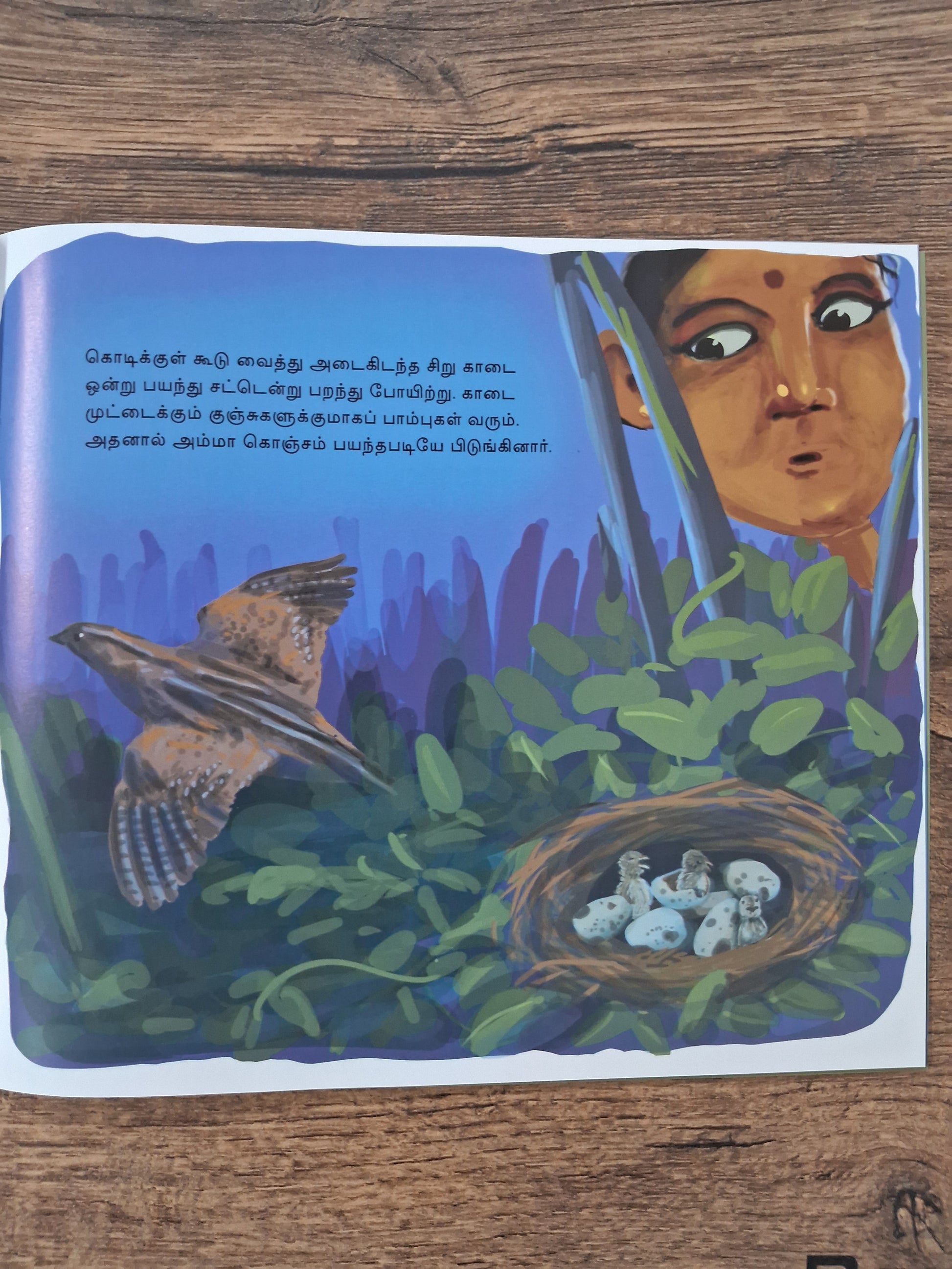 Out In The Moonlight - Tamil Picture Book