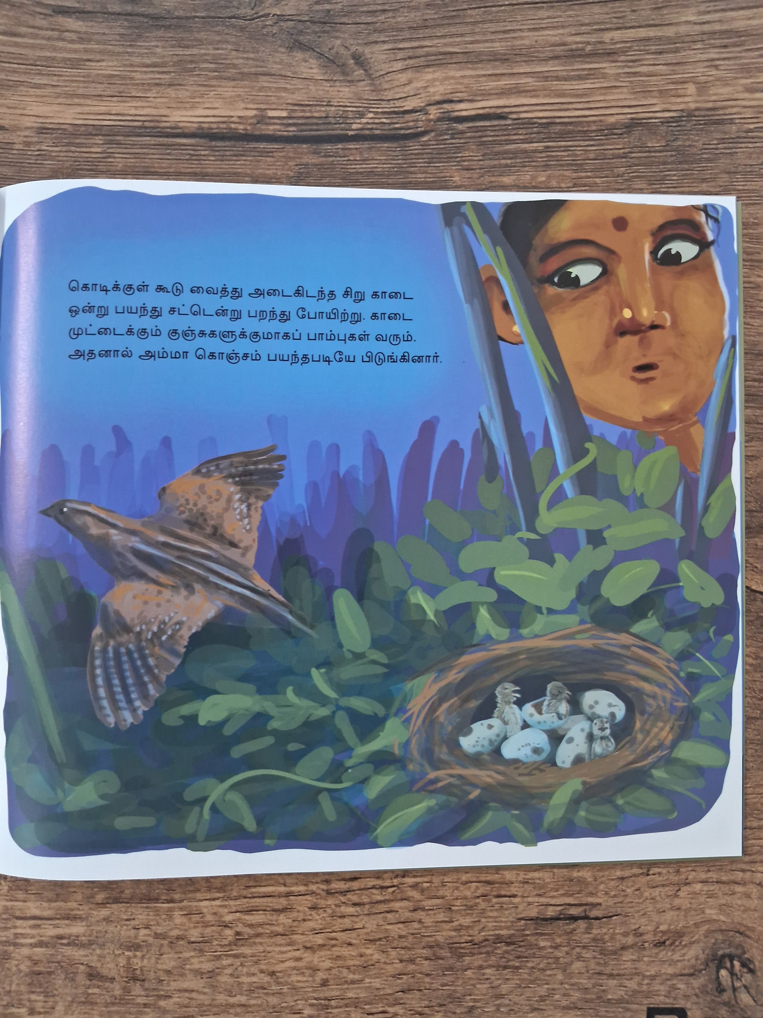 Out In The Moonlight - Tamil Picture Book
