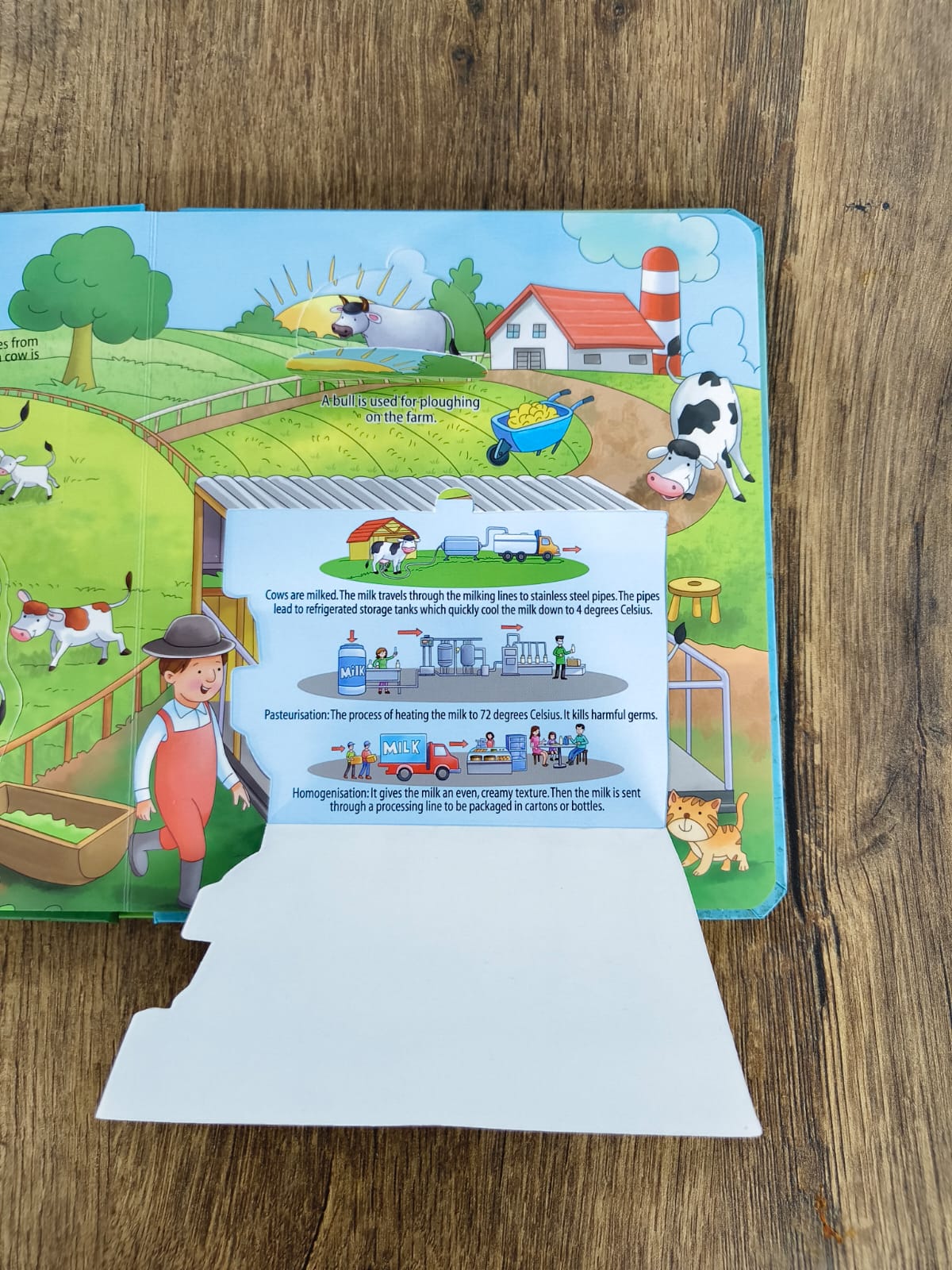 Lift a Flap -  On the Farm