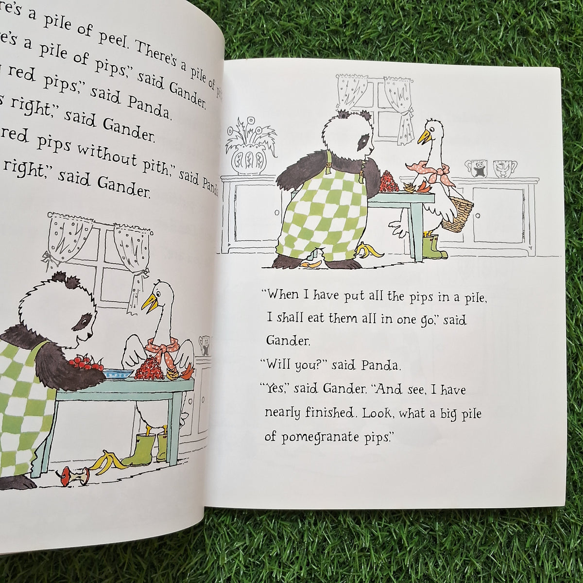 Panda and gander - Very Good Condition Paperback