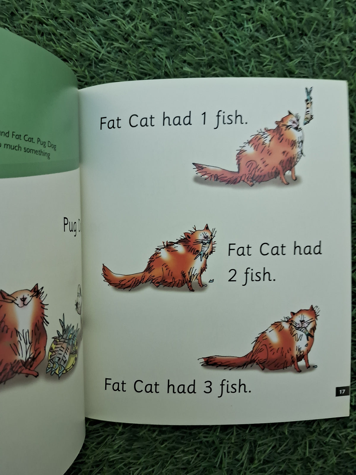 READ WRITE INC PHONICS - MY DOG NED - Excellent Condition Paperback