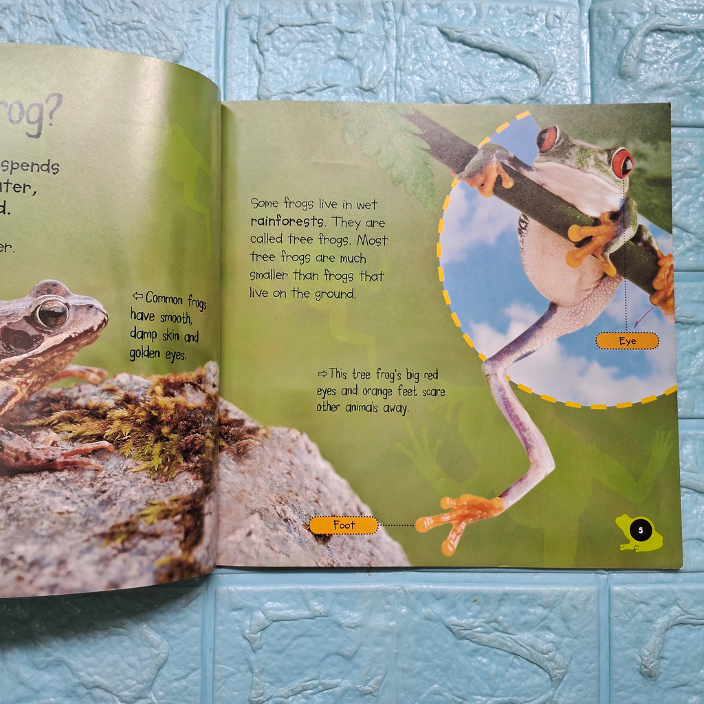 Tadpole to Frog - Very Good Condition Paperback