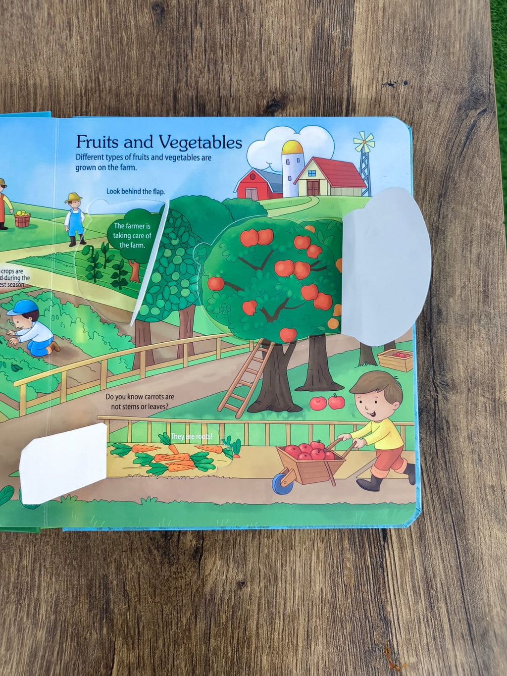 Lift a Flap -  On the Farm