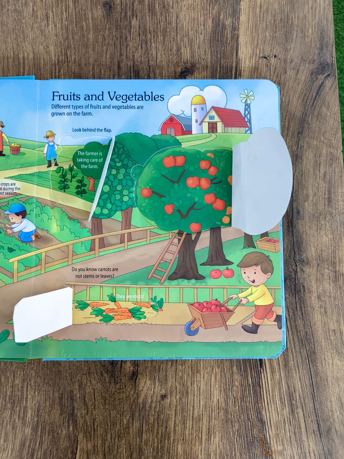 Lift a Flap -  On the Farm