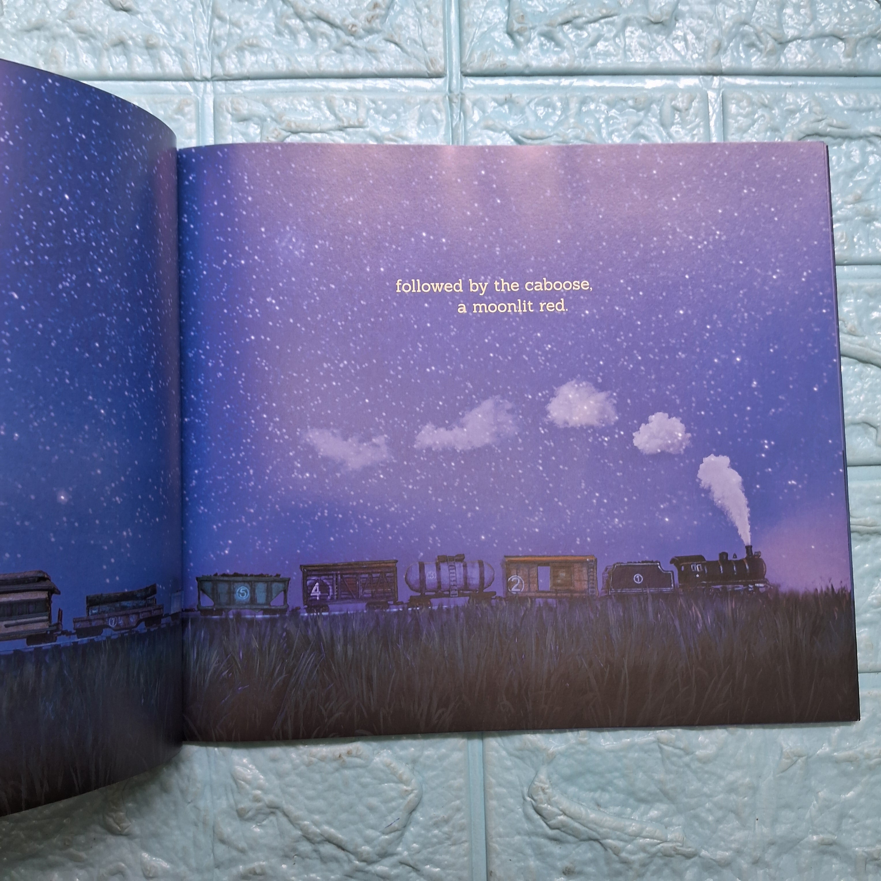 Sleep train - Very Good Condition Paperback