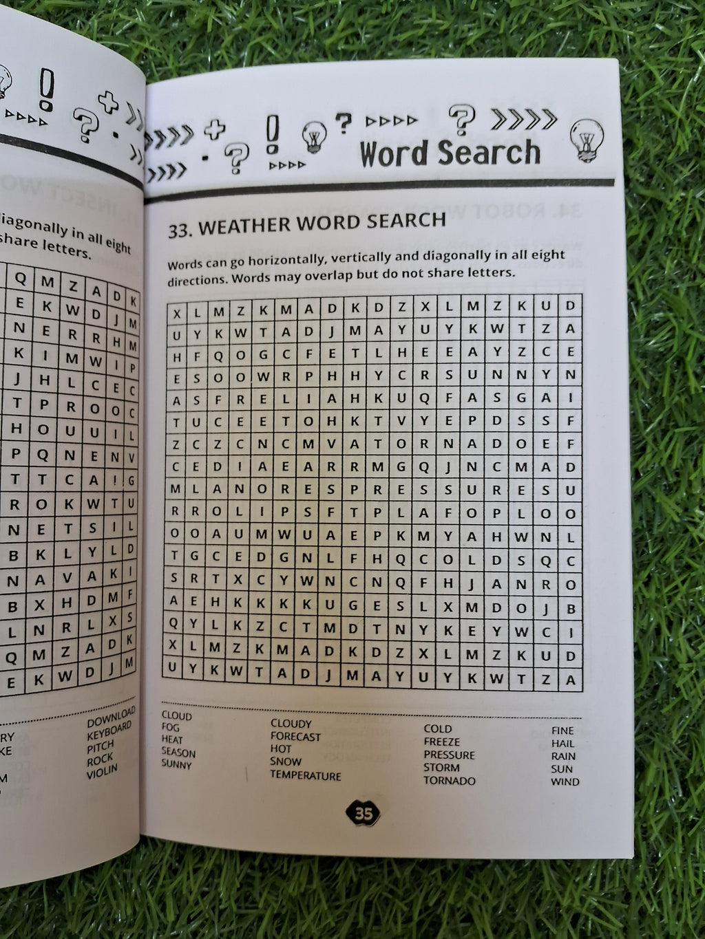 More word search Book