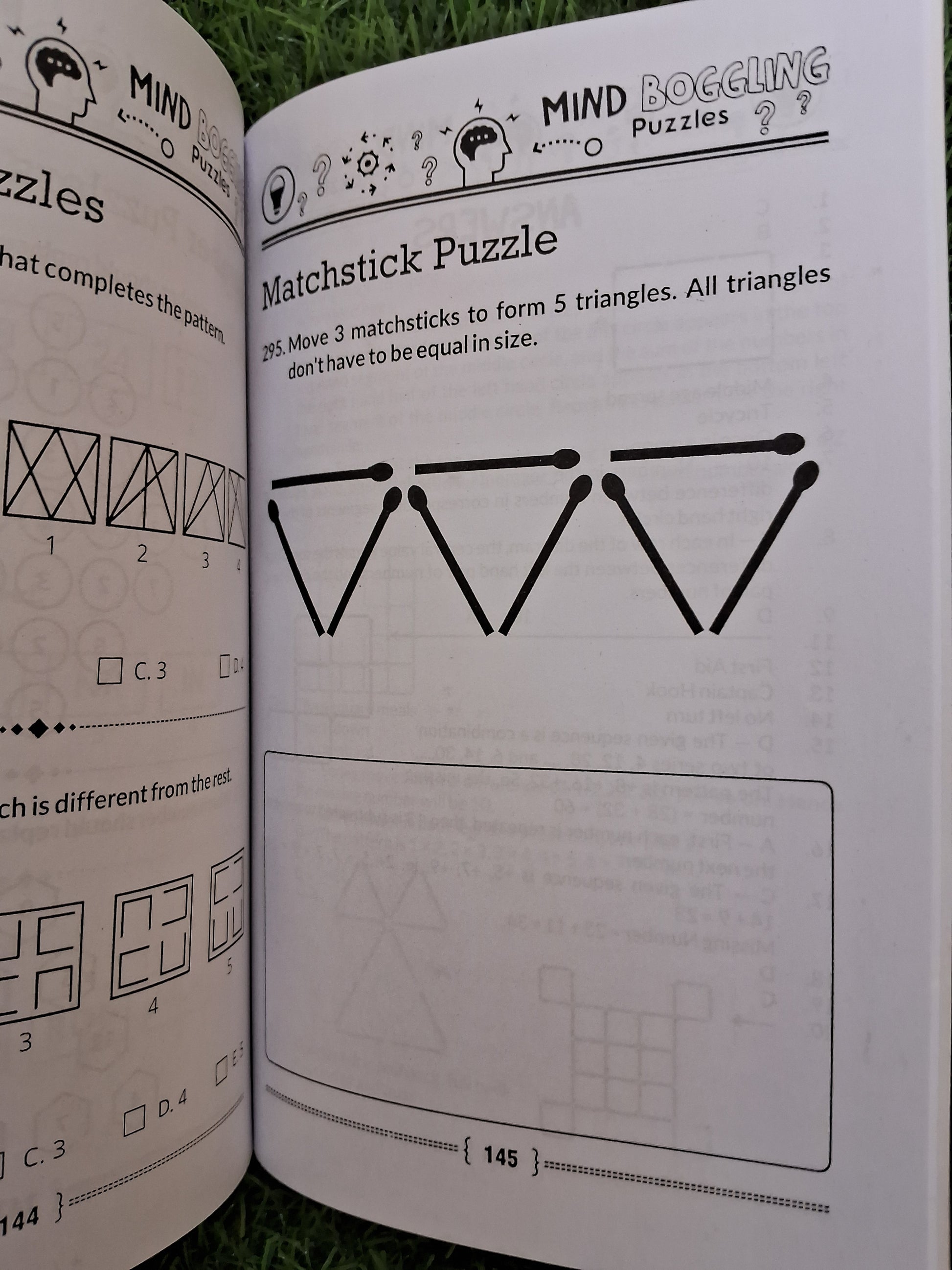 Mind Boggling puzzles - Challenging Books