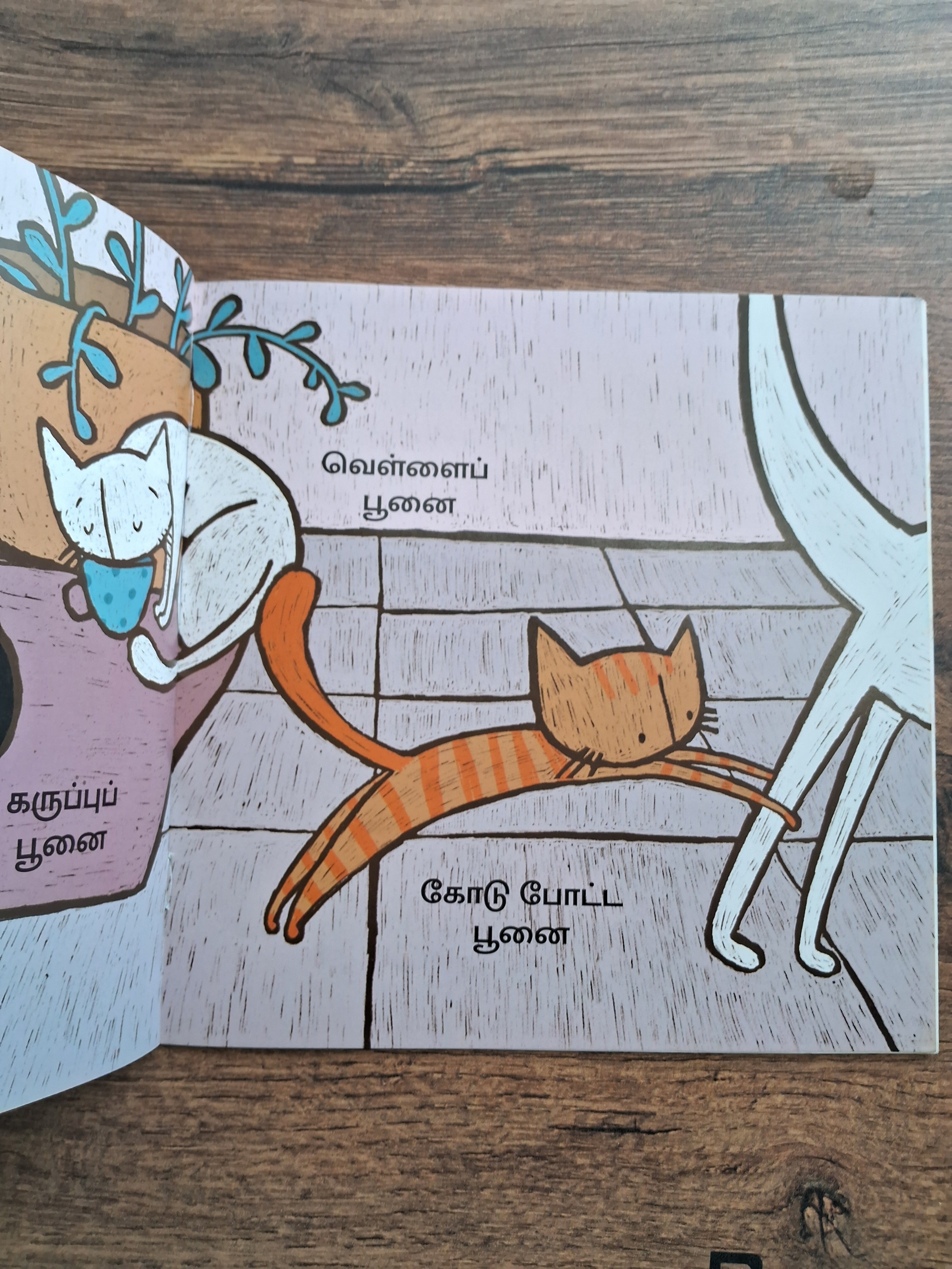 So Much to See - Pratham Tamil - Level 1