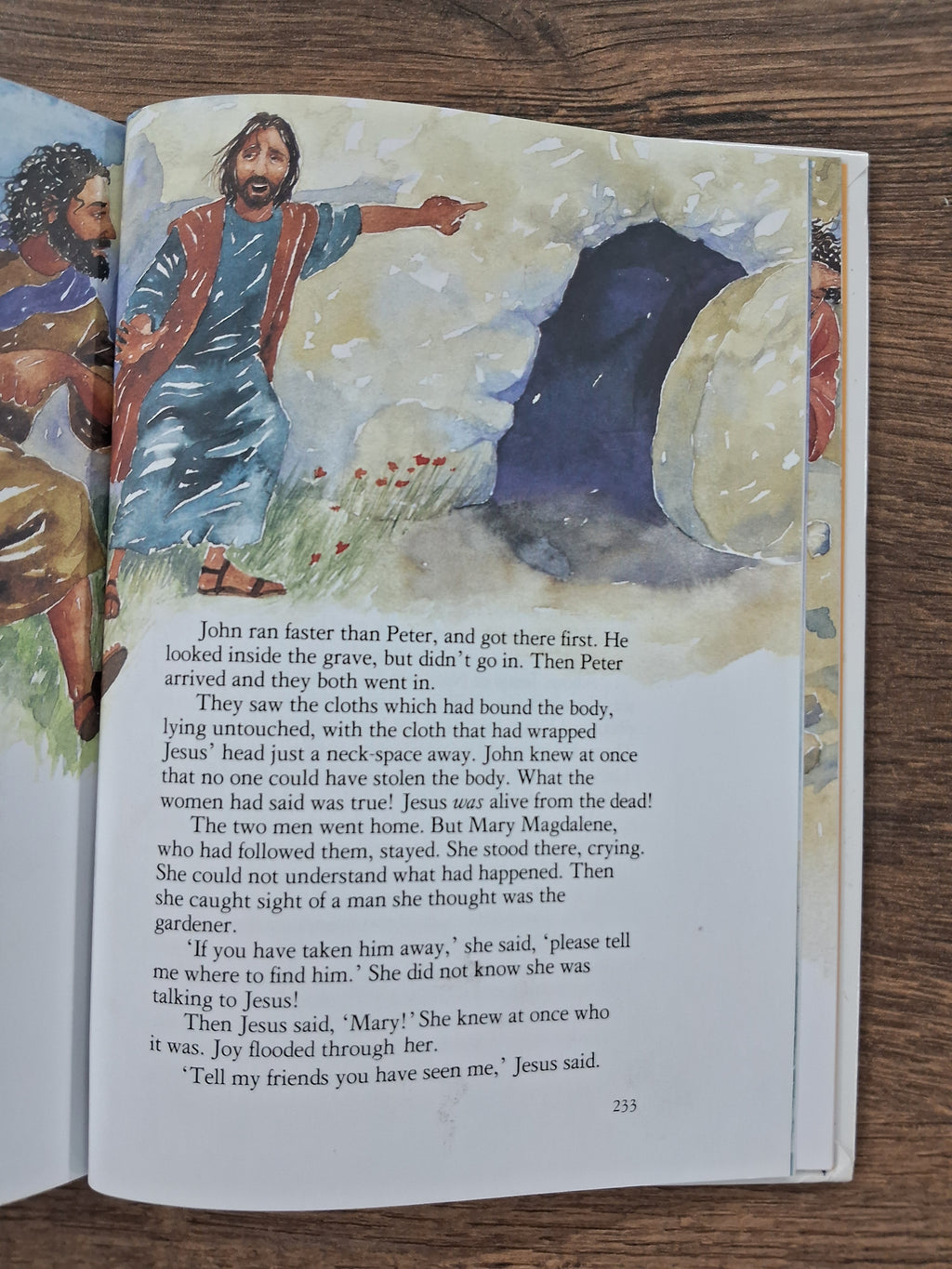 The Lion Children's Bible