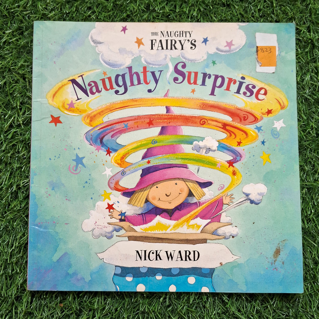 Naughty surprise - Very Good Condition Paperback