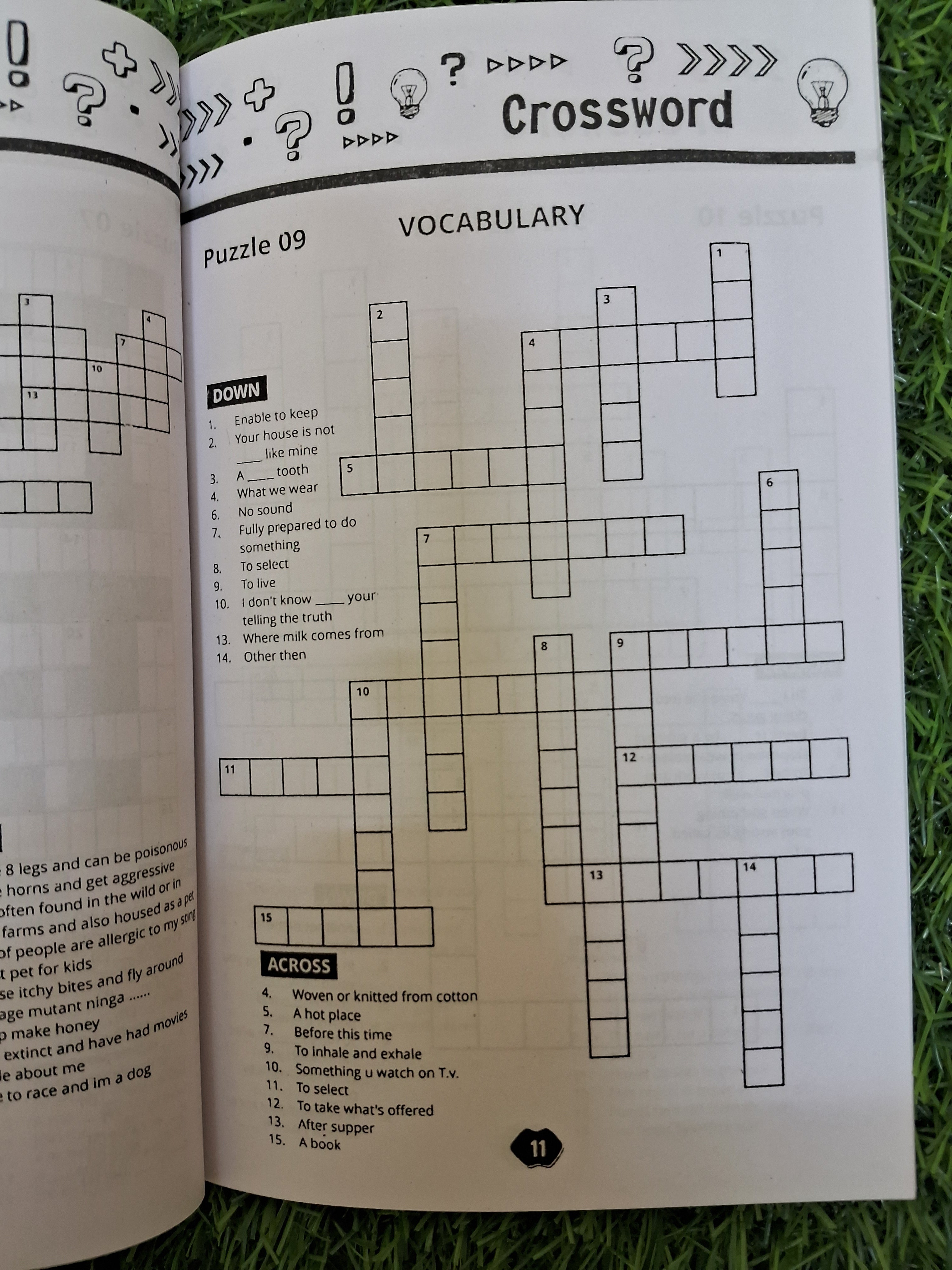 Cross word Book