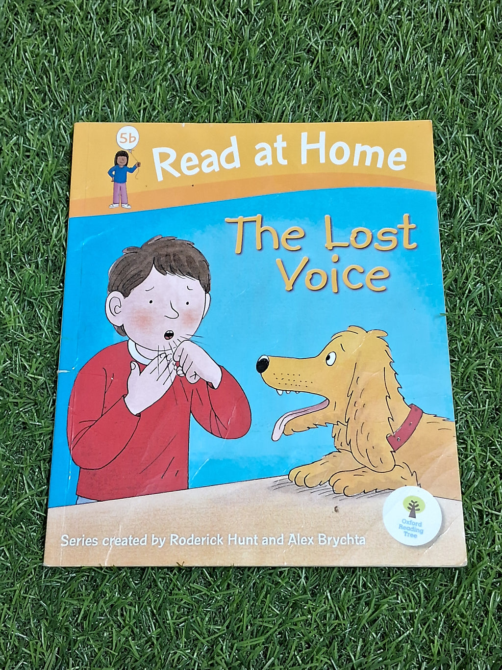 Read at Home - The Lost Voice -  Very Good Condition Paperback