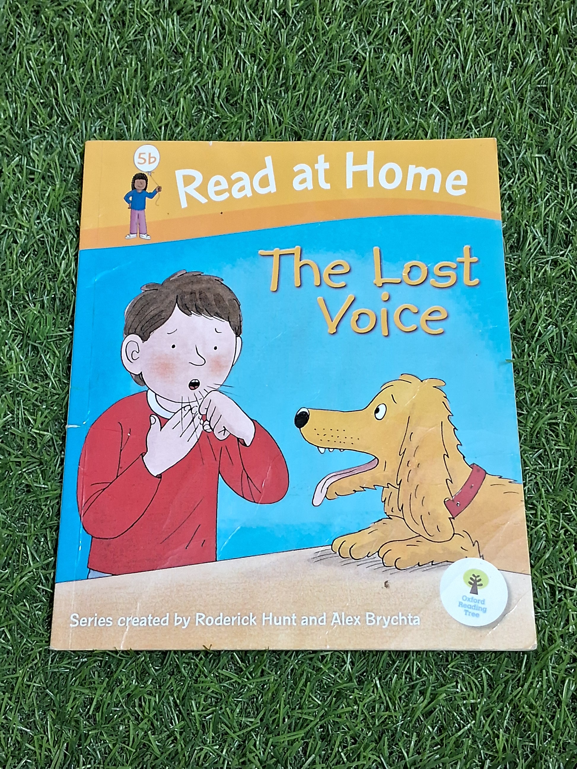 Read at Home - The Lost Voice -  Very Good Condition Paperback