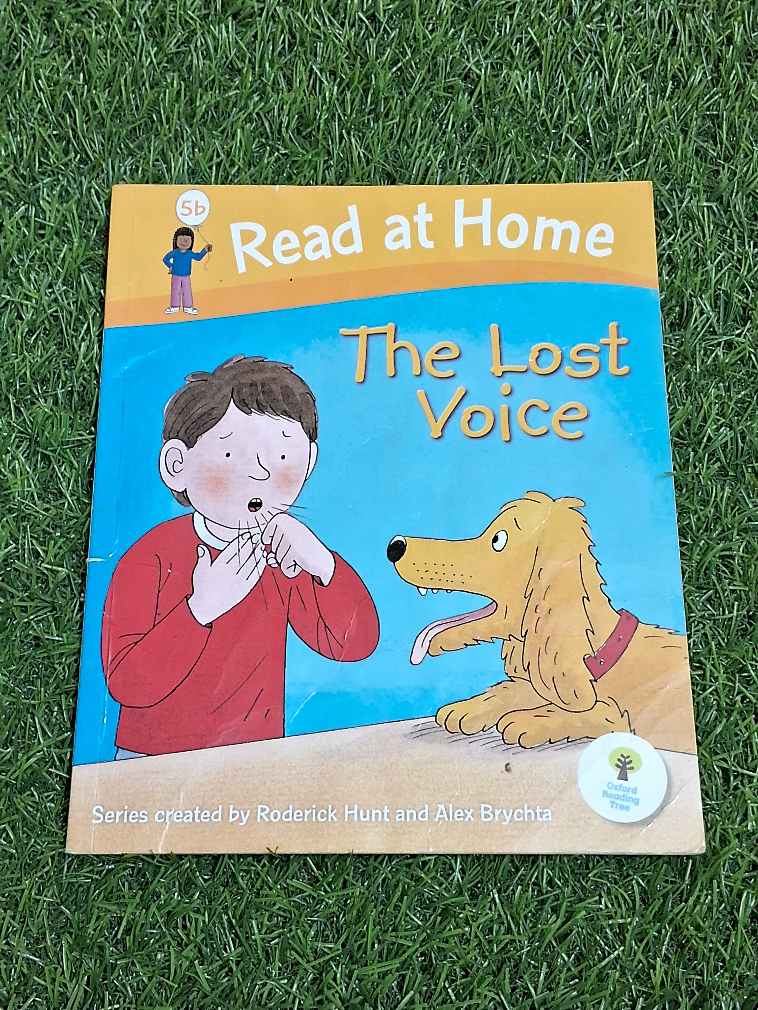 Read at Home - The Lost Voice -  Very Good Condition Paperback