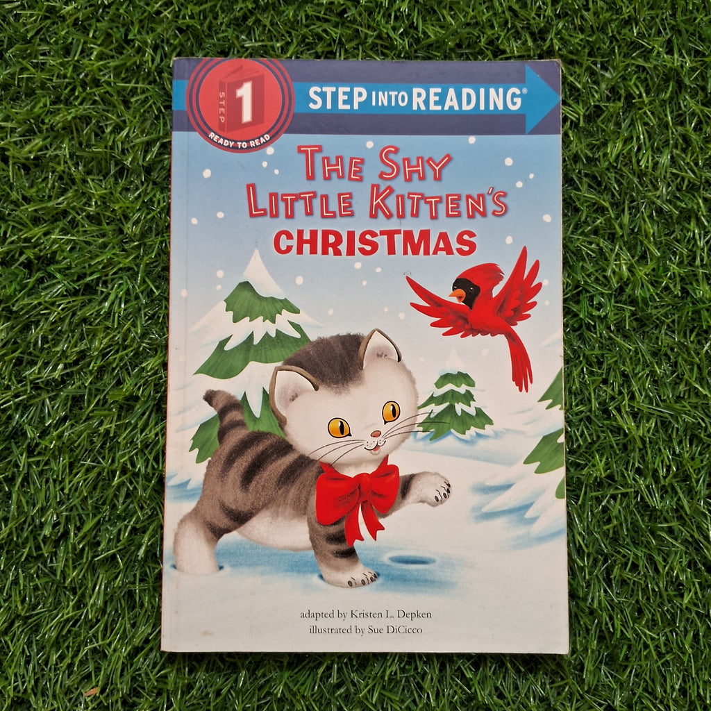 The sky little kitten's christmas - Very Good Condition Paperback