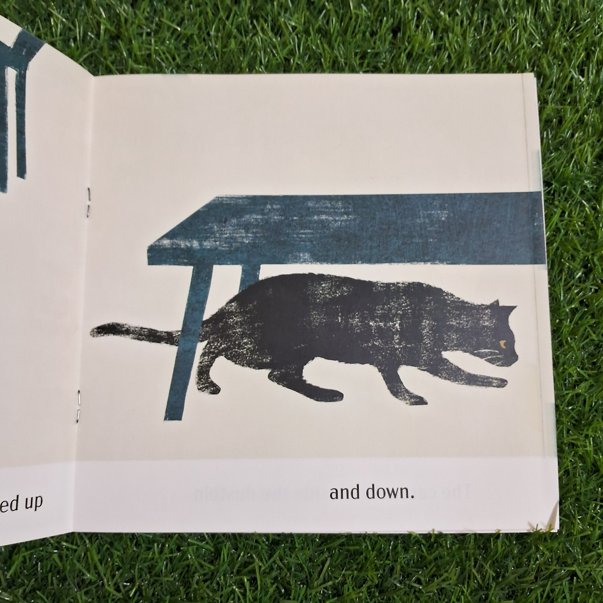 The Rat in the Cat - English- Level 1 - Pratham