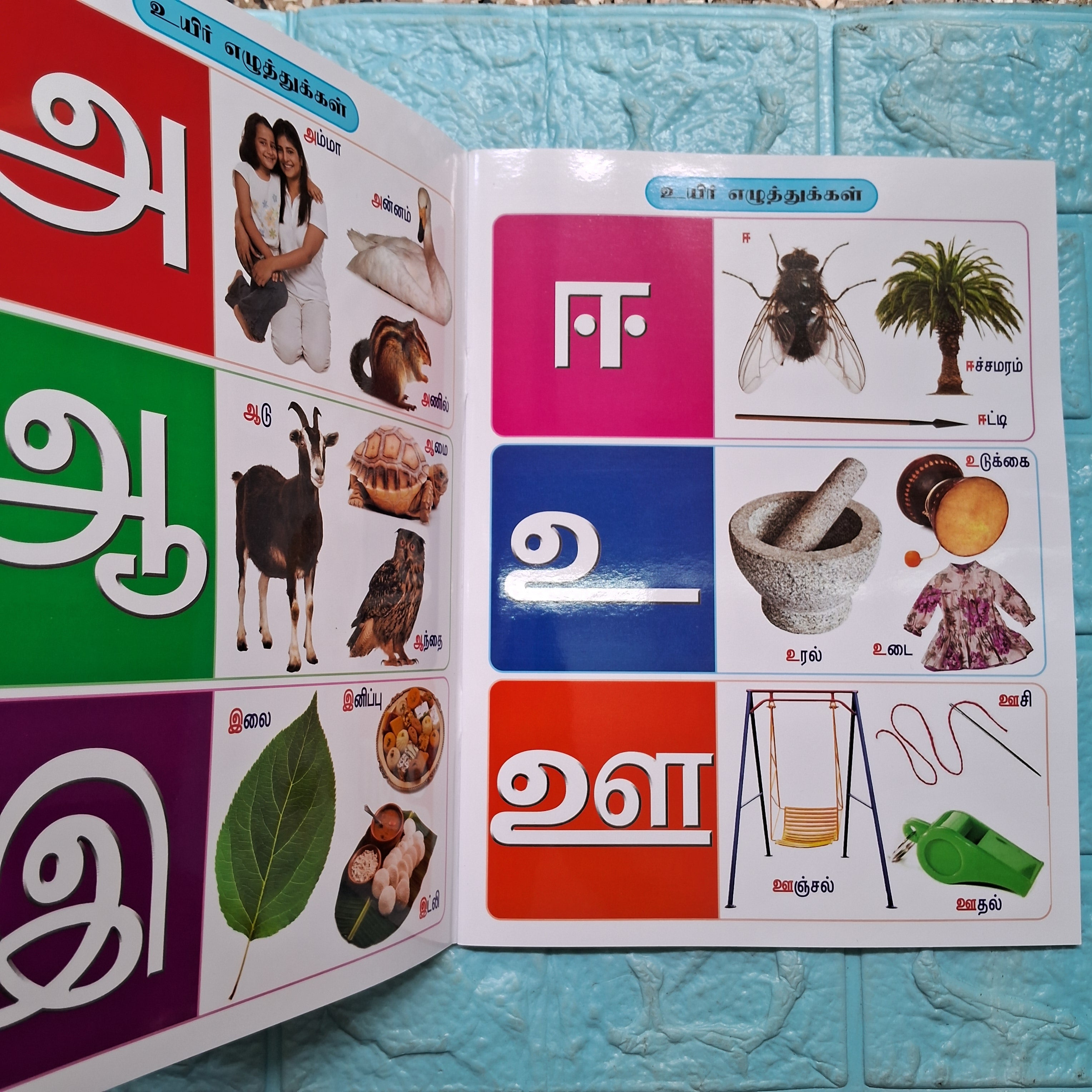 Tamil Arichuvadi - Large NonTearable Book