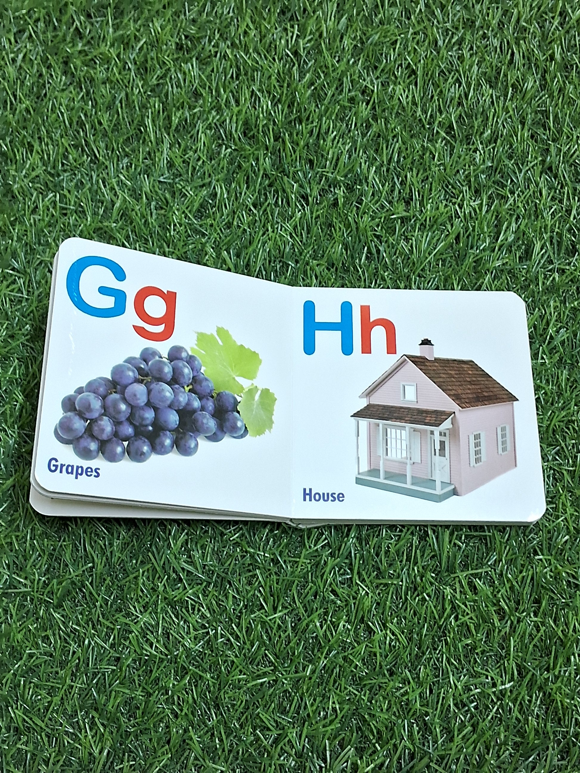 Alphabet - My Little Board Book