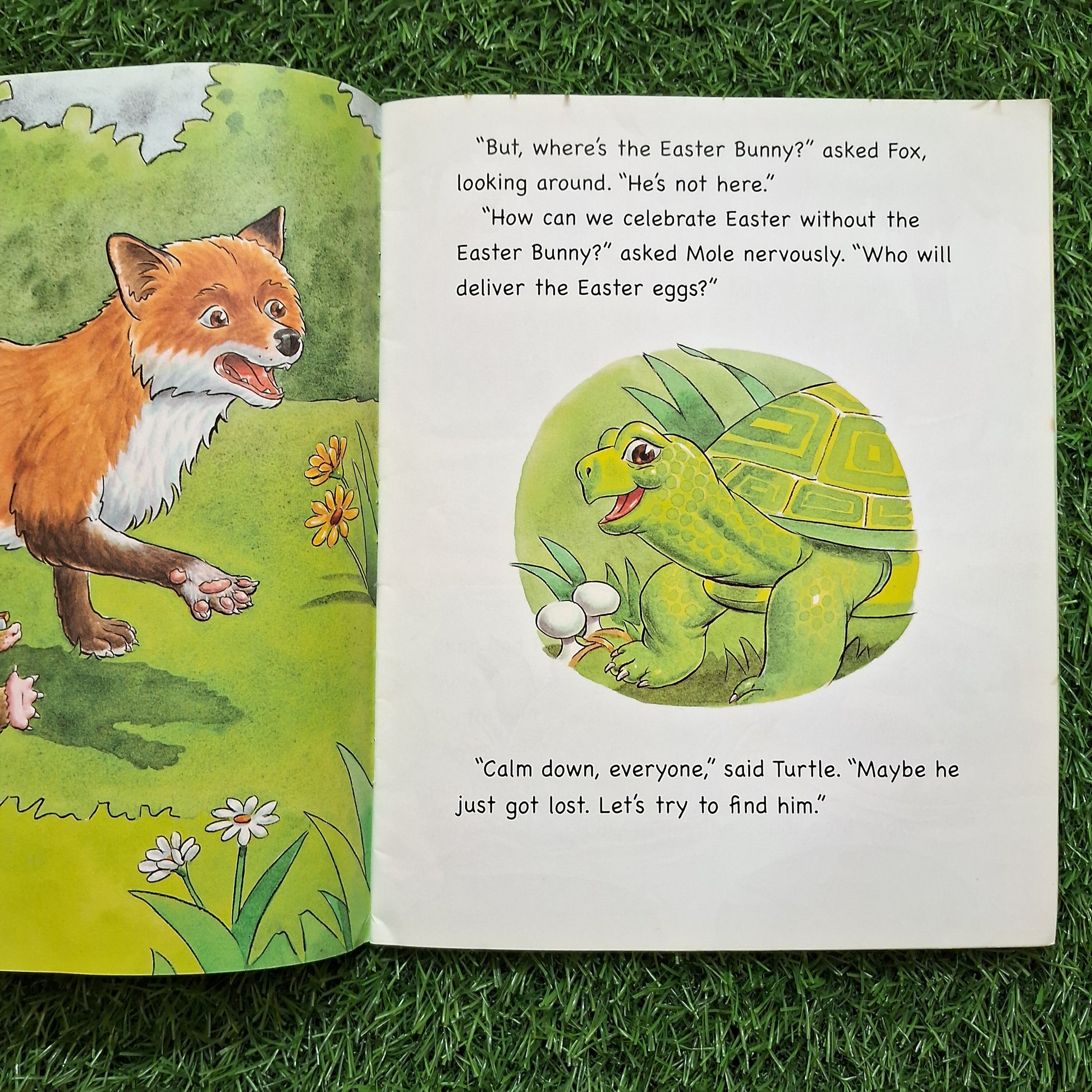 The Easter bunny is missing - Average Condition Paperback