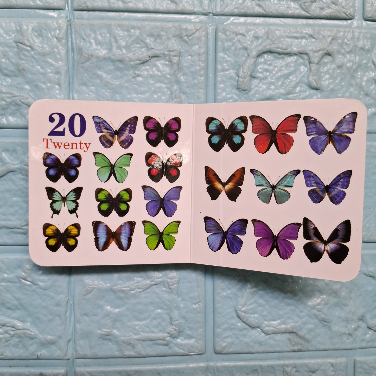 Numbers - Little Board Books