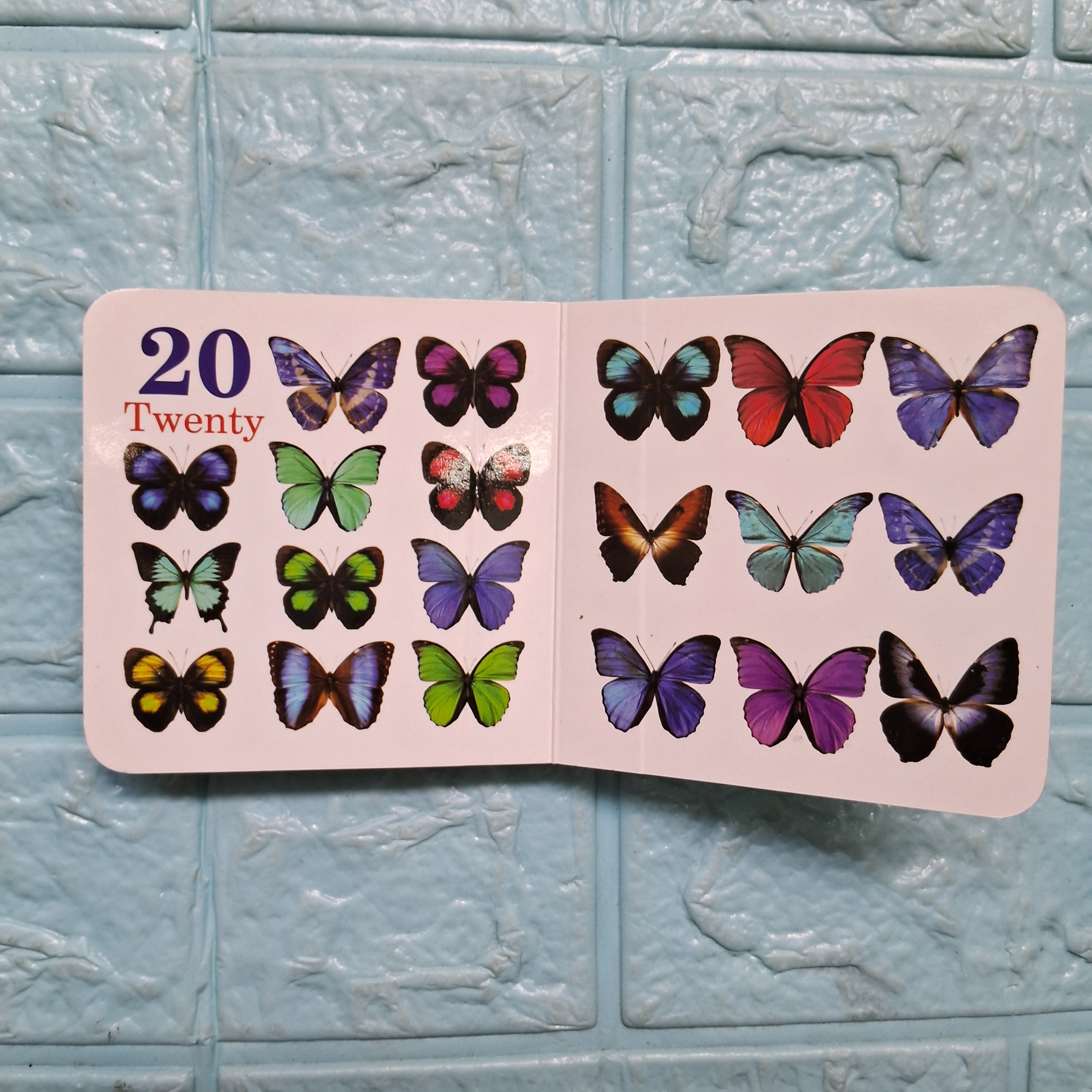 Numbers - Little Board Book