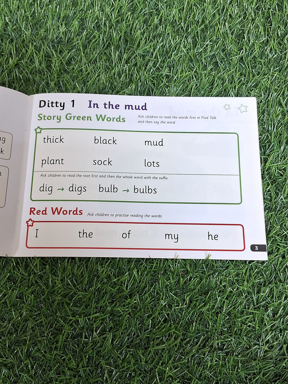 Phonics - In the Mud -  Very Good Condition Paperback