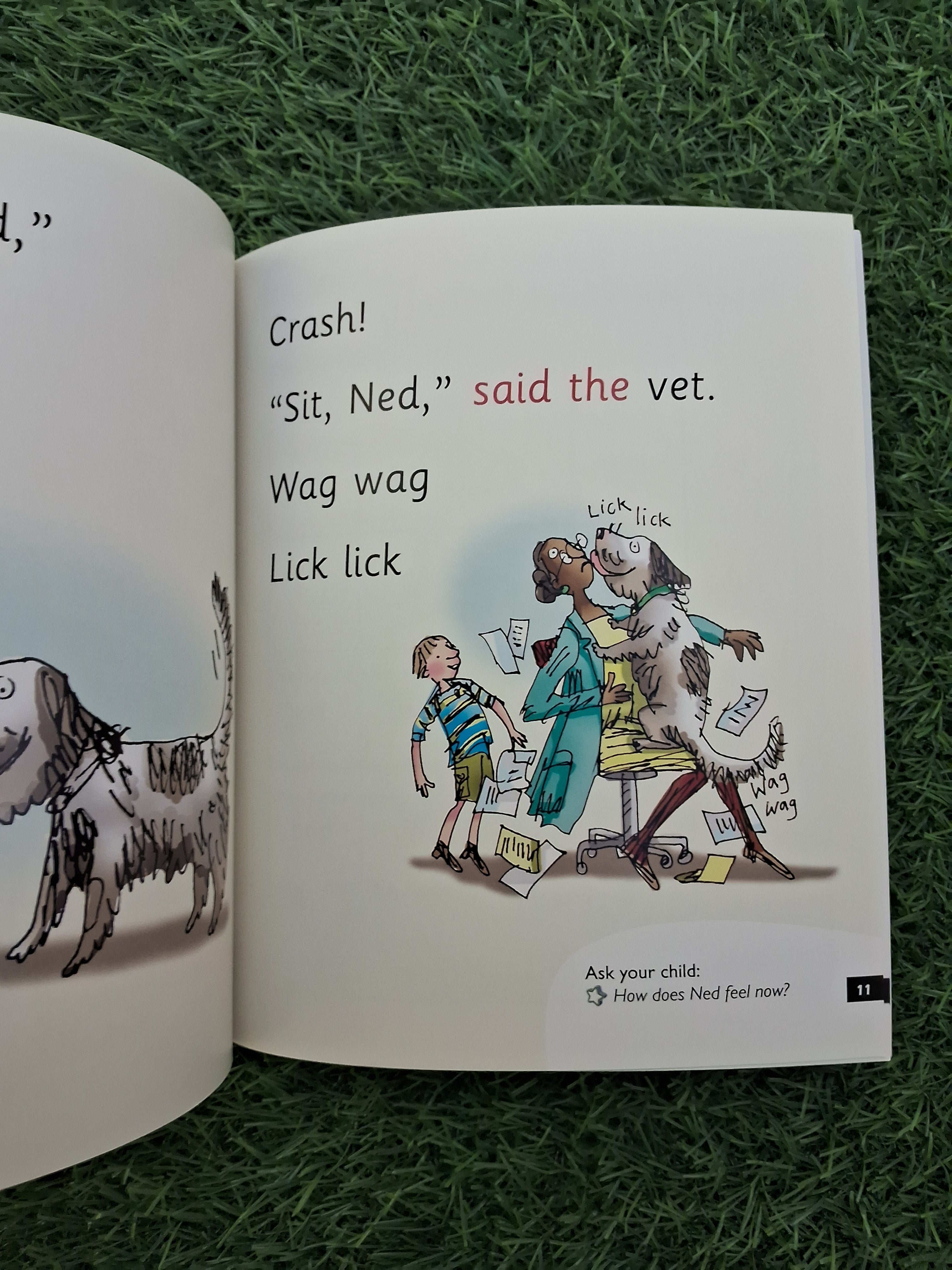 READ WRITE INC PHONICS - MY DOG NED - Excellent Condition Paperback