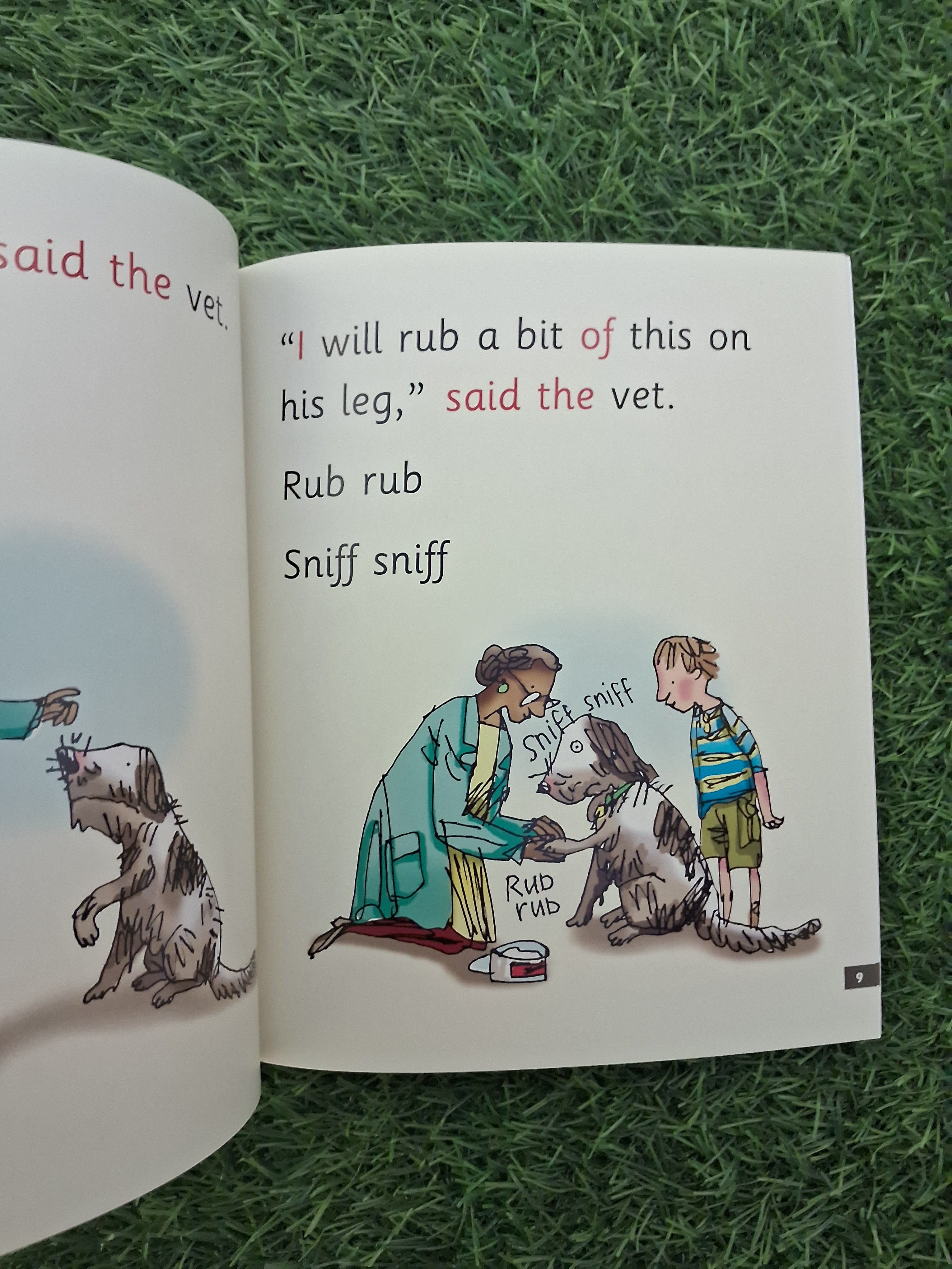 READ WRITE INC PHONICS - MY DOG NED - Excellent Condition Paperback