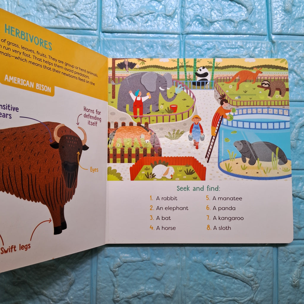 Visual Dictionary: Animals