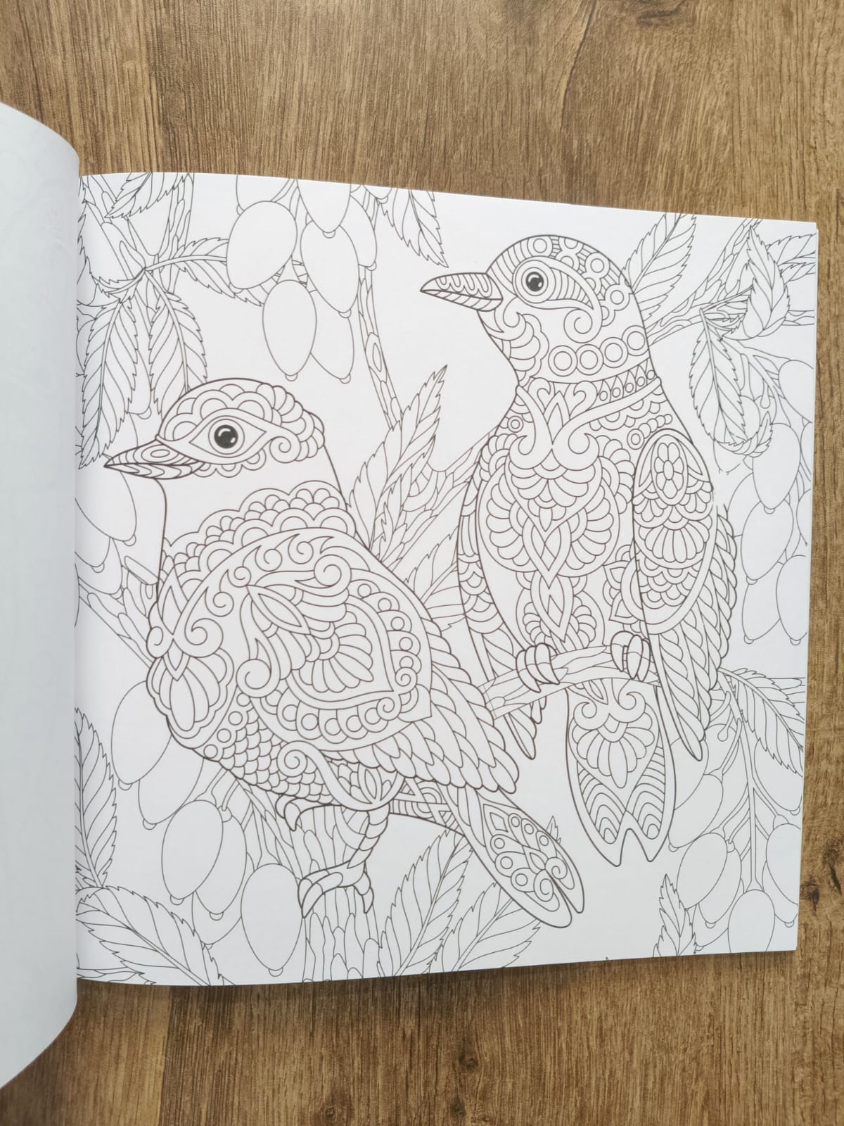 Grown Ups Colouring Book