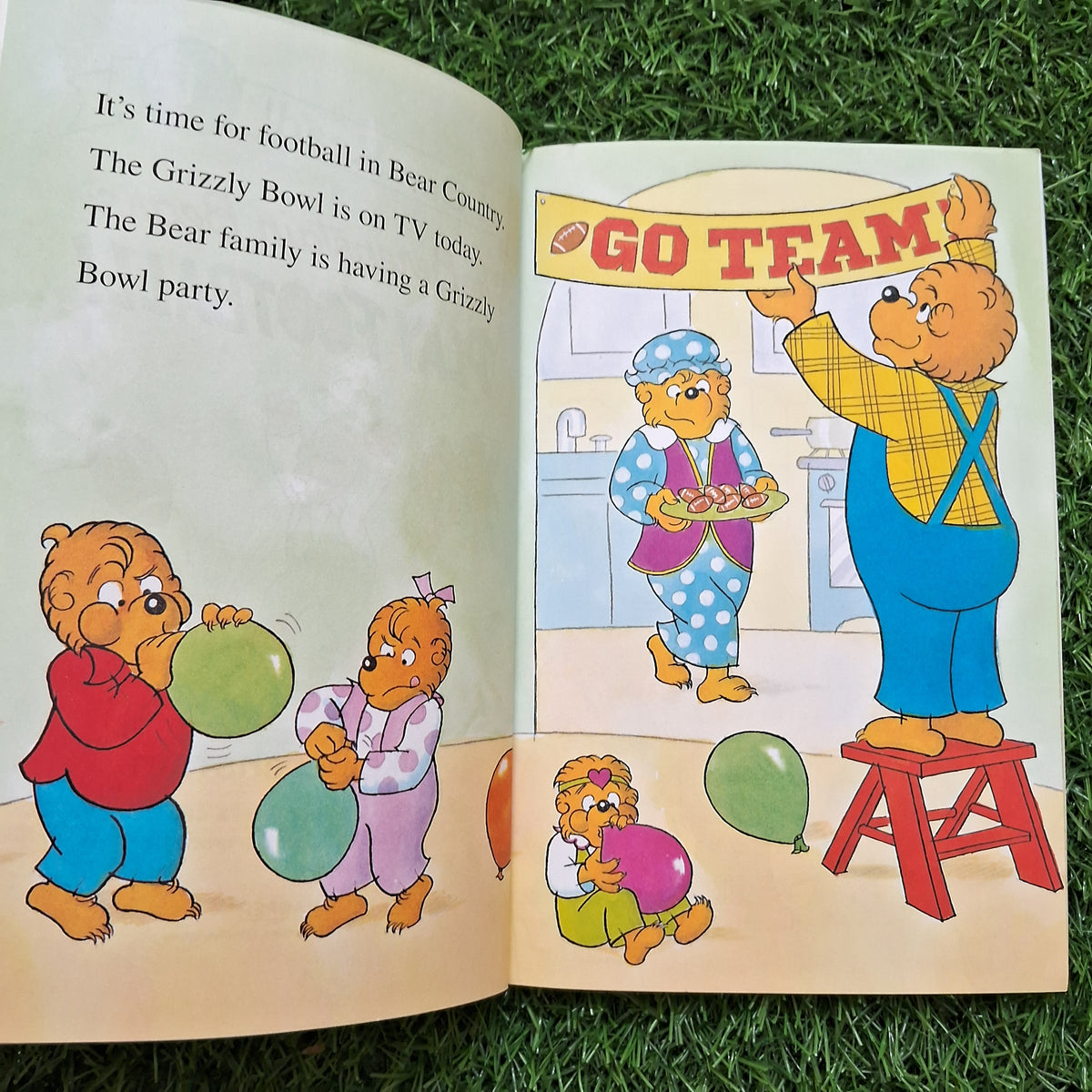 The berenstain Bears Play football - Very Good Condition Paperback