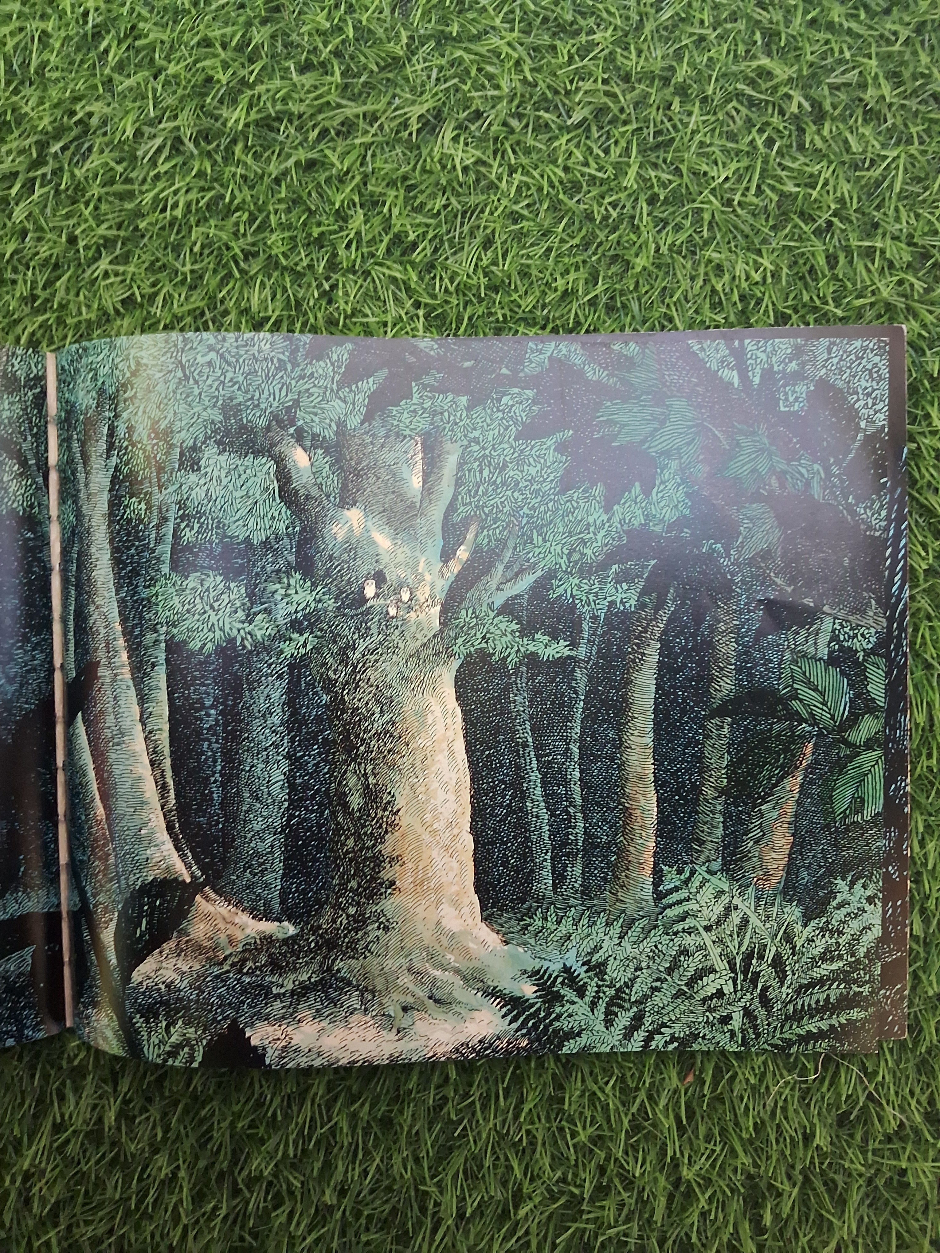 WALKER BOOKS - OWL BABIES - Good Condition Paperback