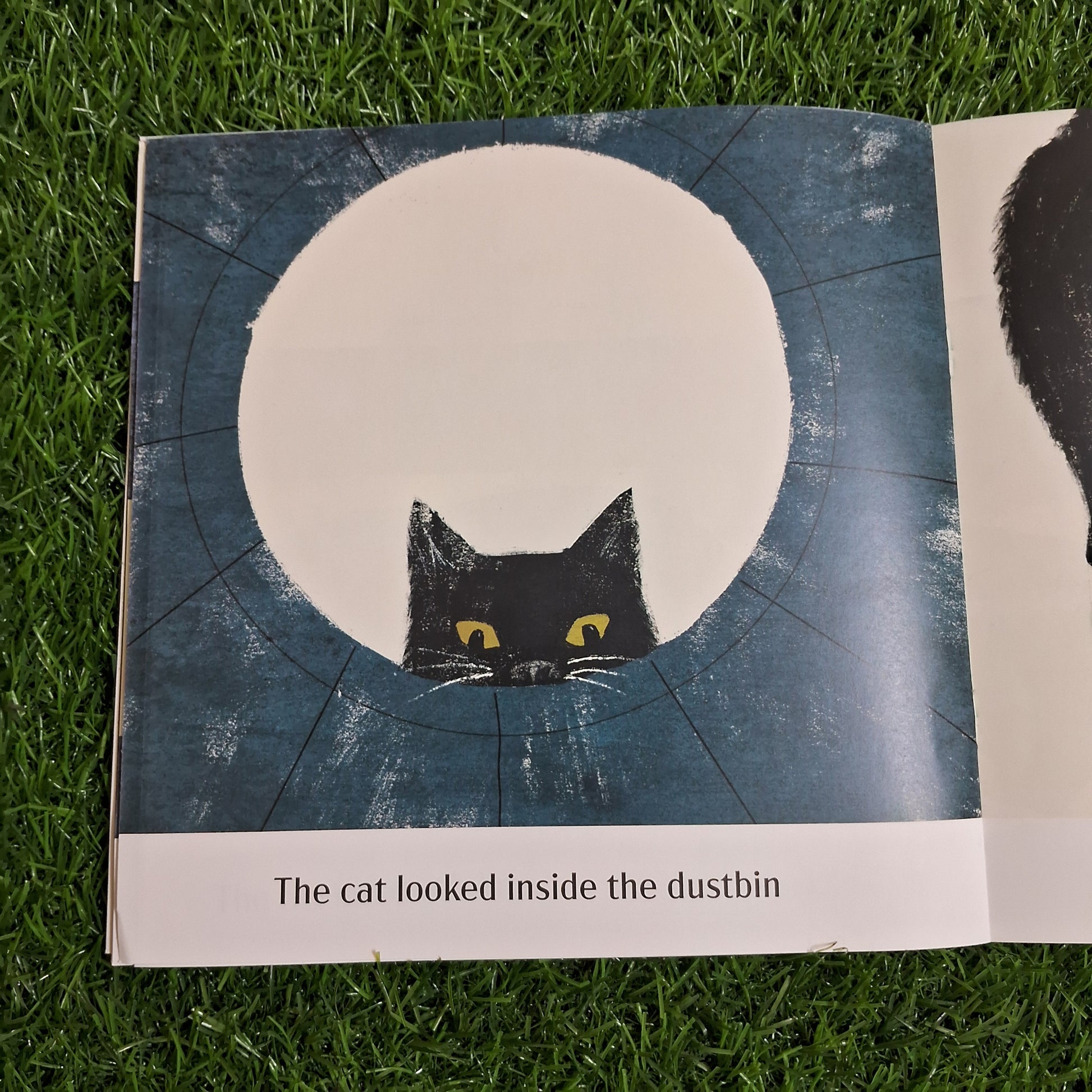 The Rat in the Cat - English- Level 1 - Pratham