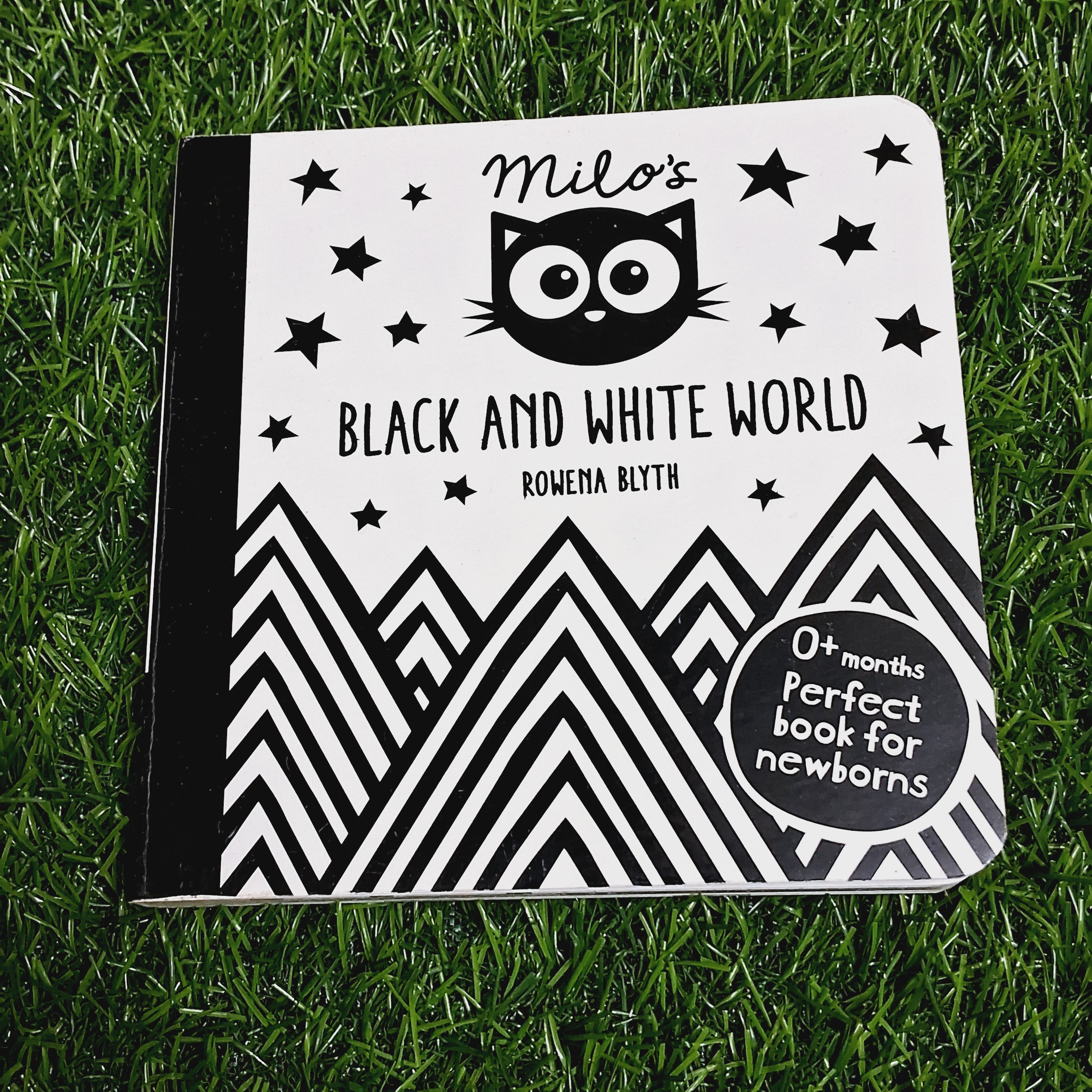 Black and white world - Excellent Condition Board Book