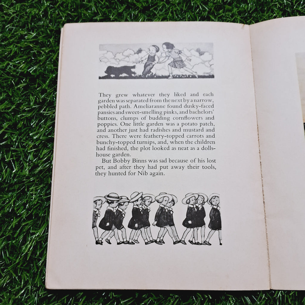Ameliaranne keeps school - Average Condition Paperback