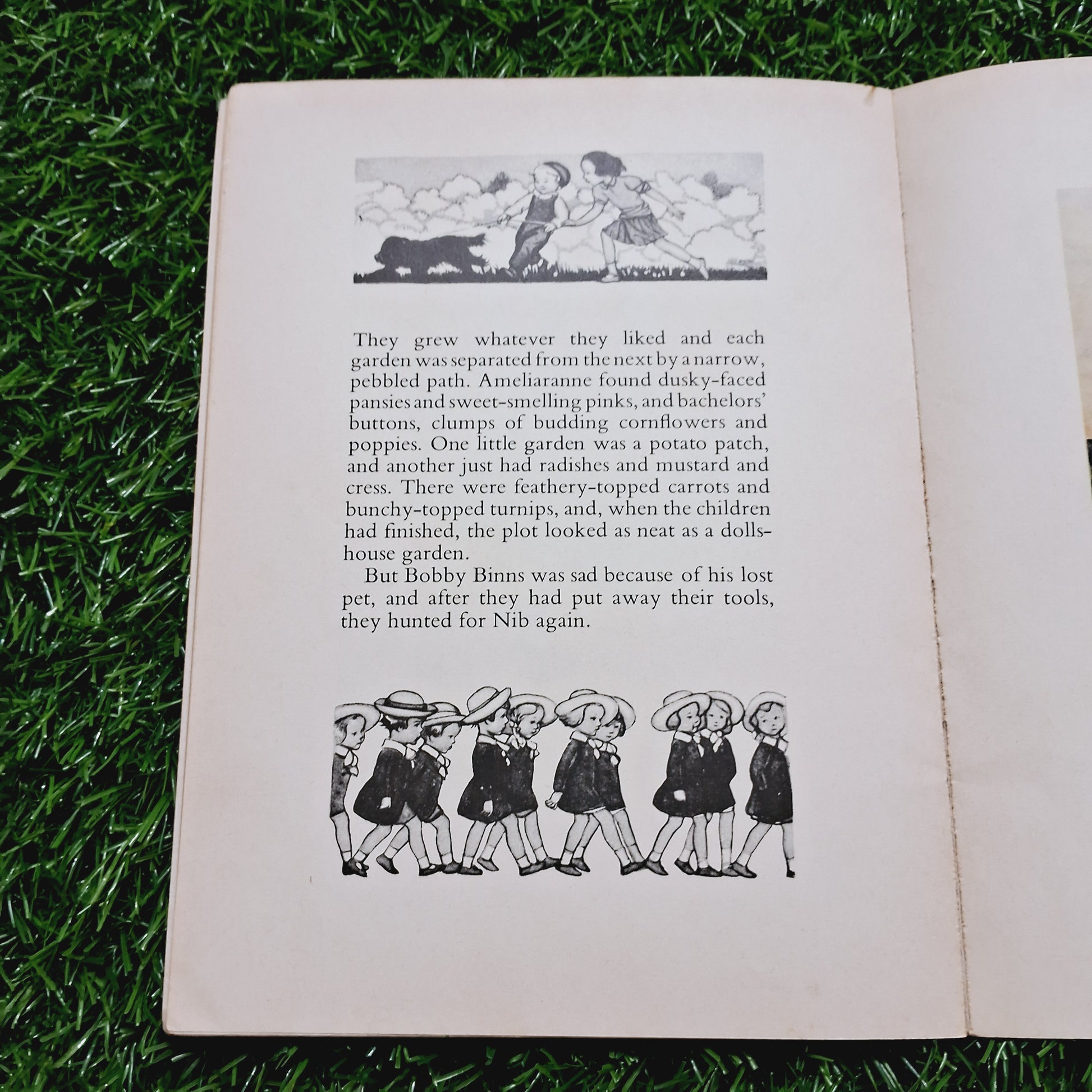 Ameliaranne keeps school - Average Condition Paperback