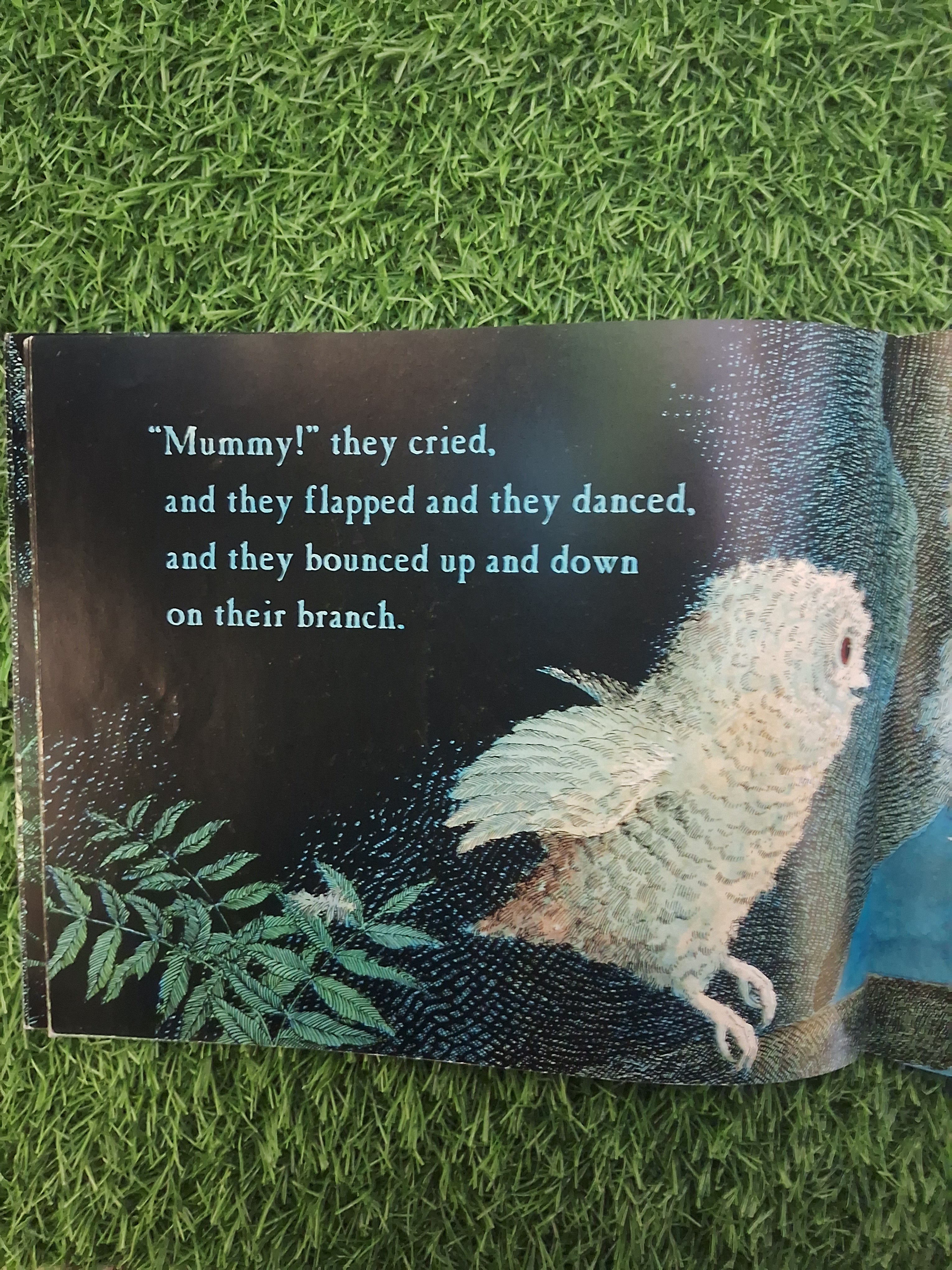 WALKER BOOKS - OWL BABIES - Good Condition Paperback