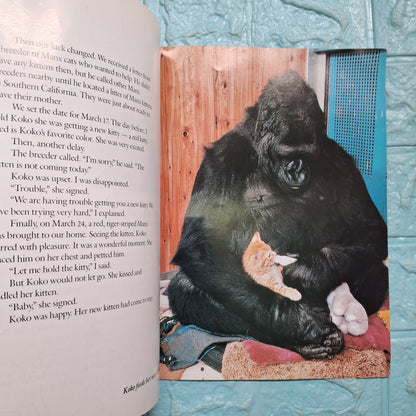 Koko's Kitten - Good Condition Paperback
