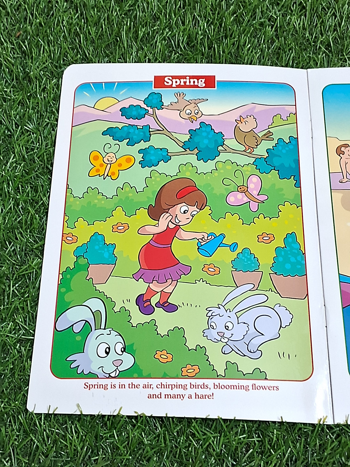 My First Book of Seasons - Laminated