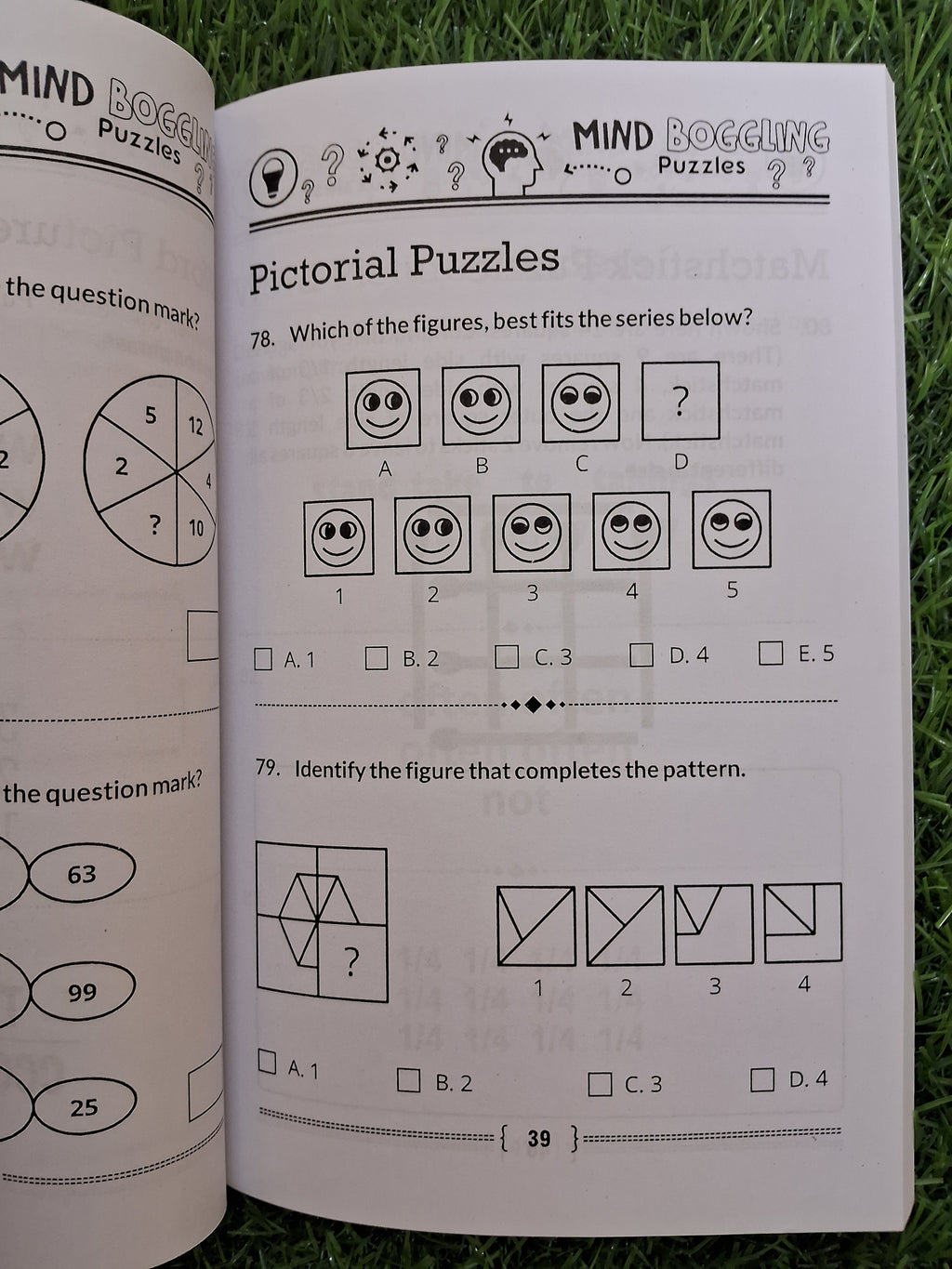 Mind Boggling puzzles - Challenging Books