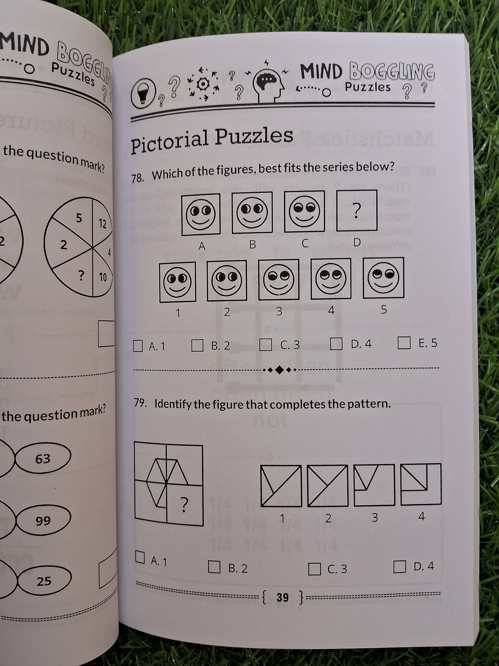 Mind Boggling puzzles - Challenging Books
